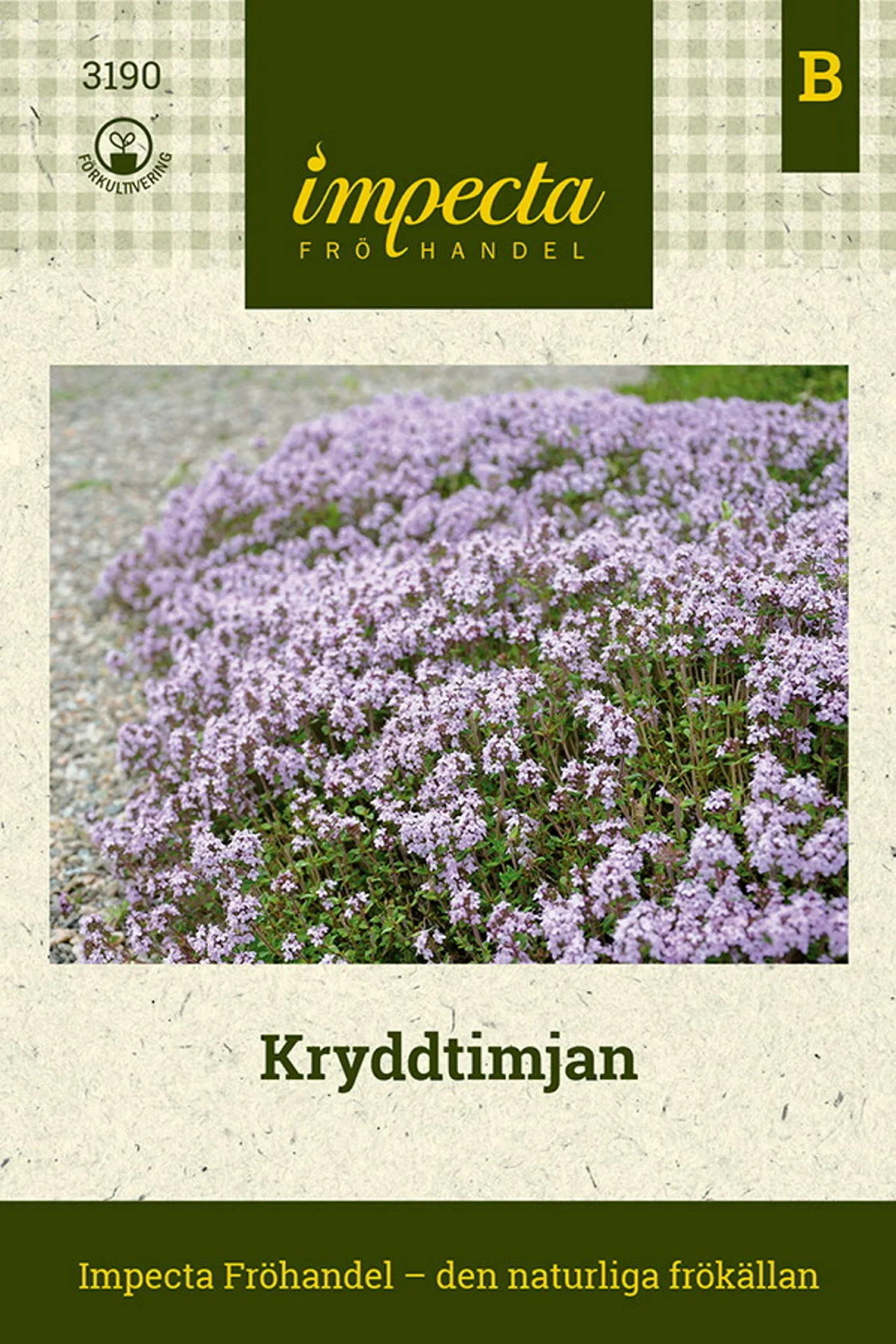 Kryddtimjan