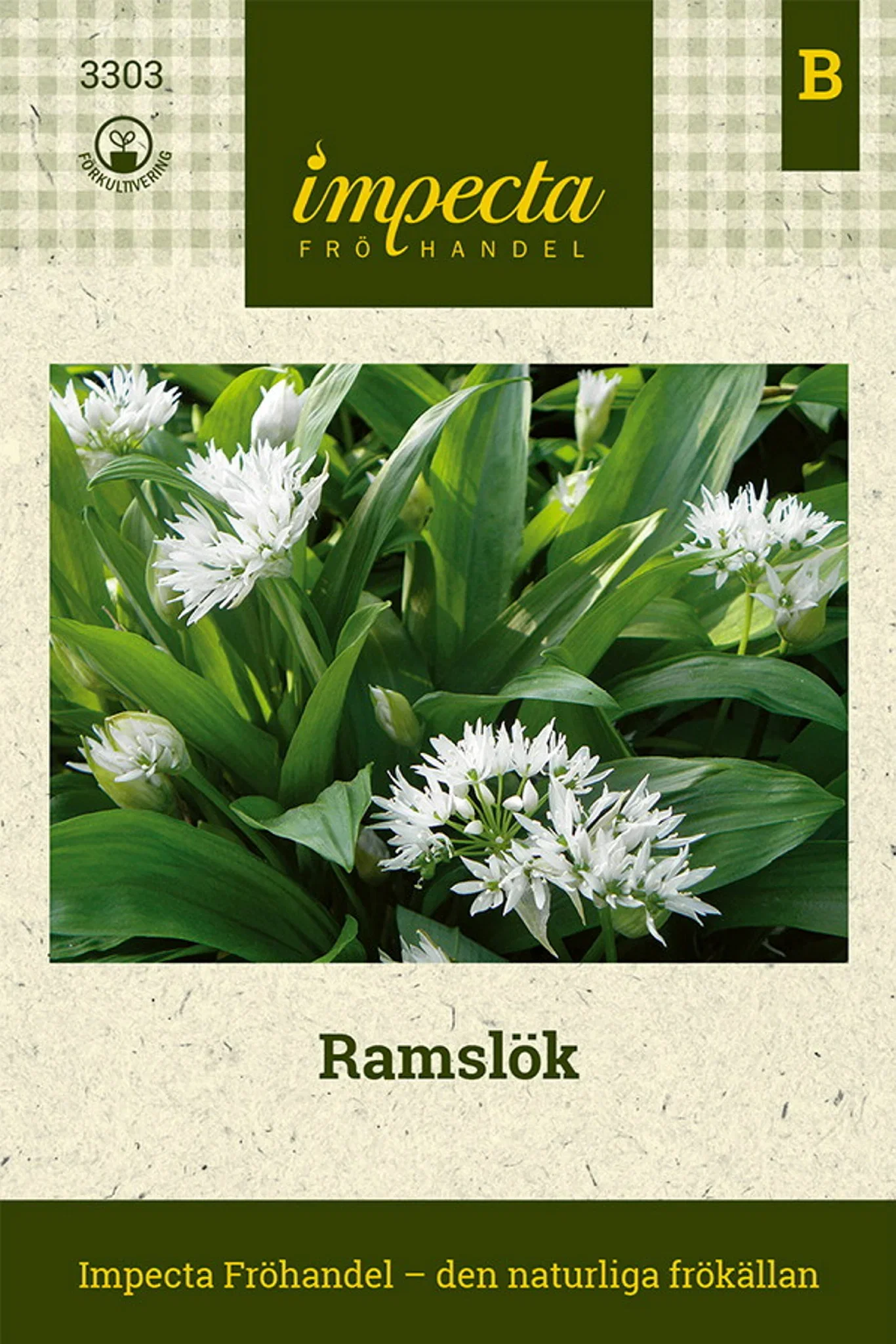 Allium ursinum