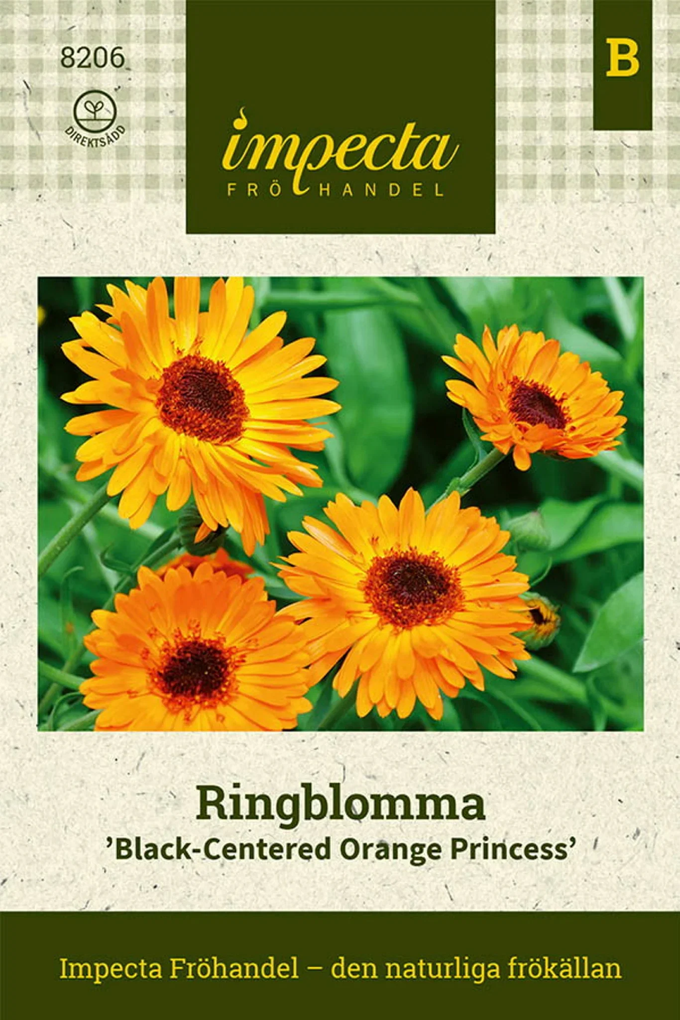 Ringblomma 'Black-Centered Orange Princess'