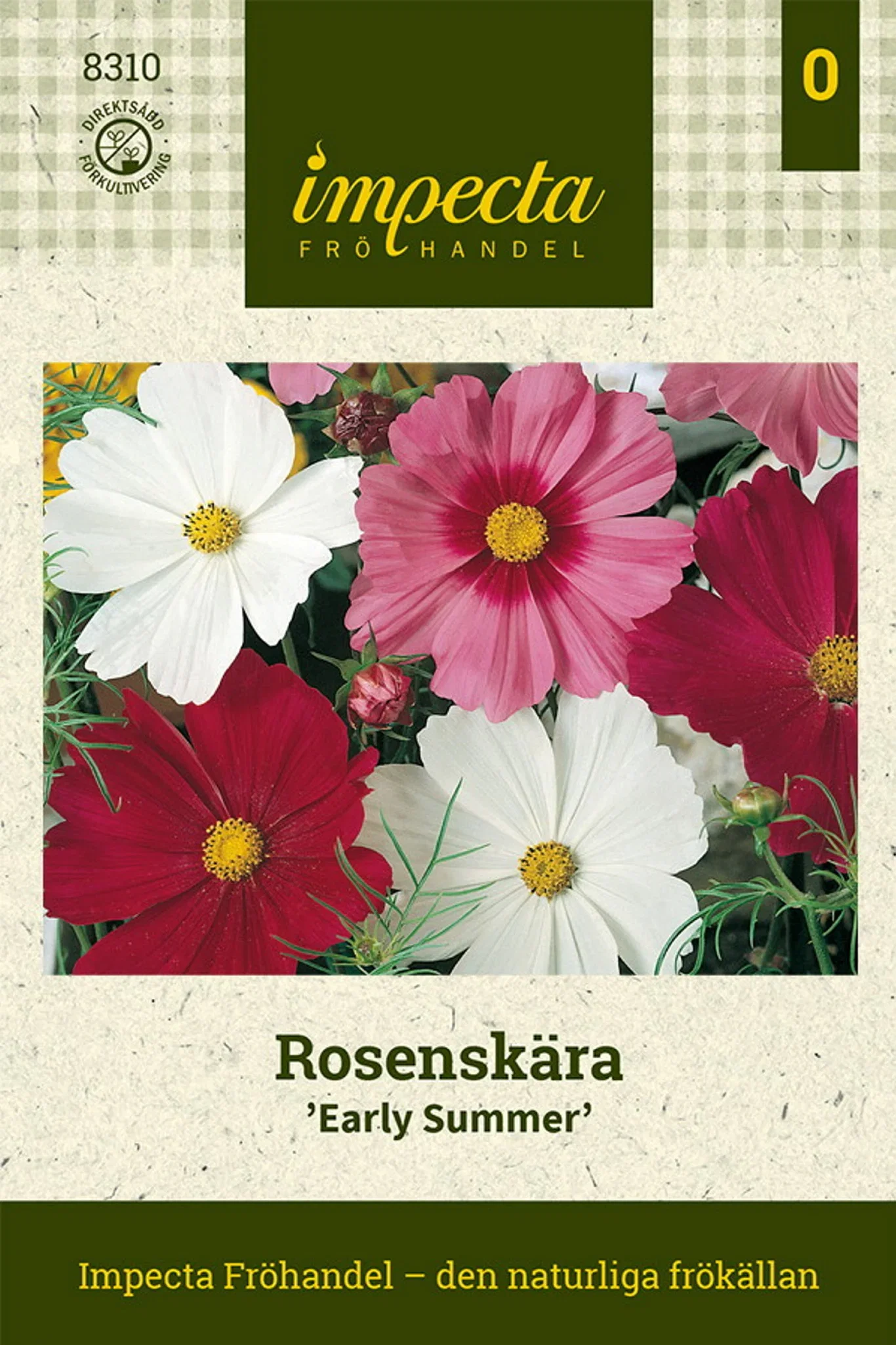 Cosmos bipinnatus 'Early Summer'