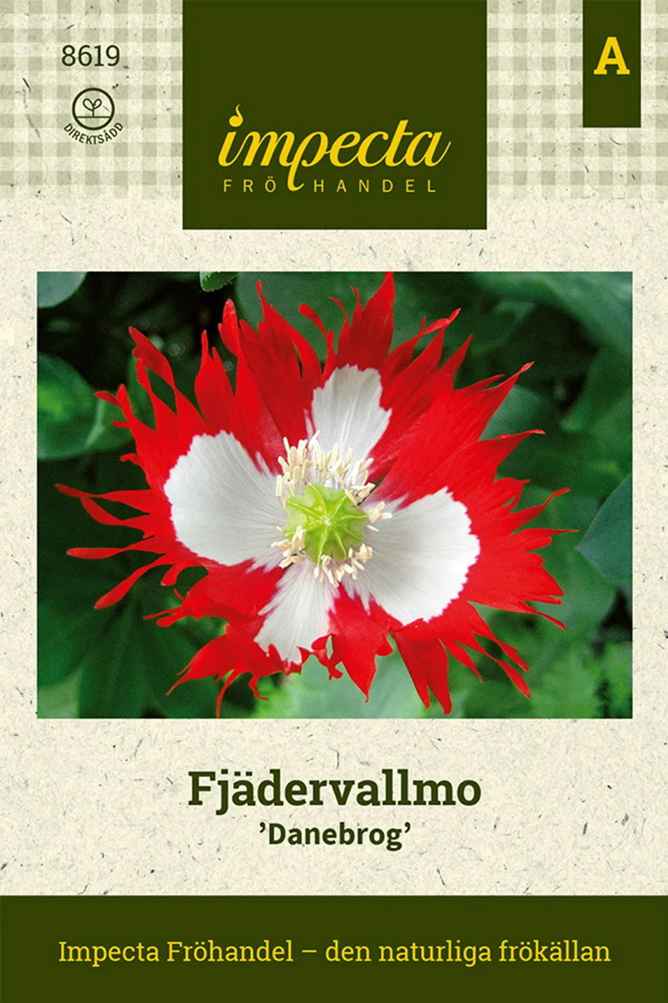 Papaver somniferum (Laciniatum-gr.) 'Danebrog'