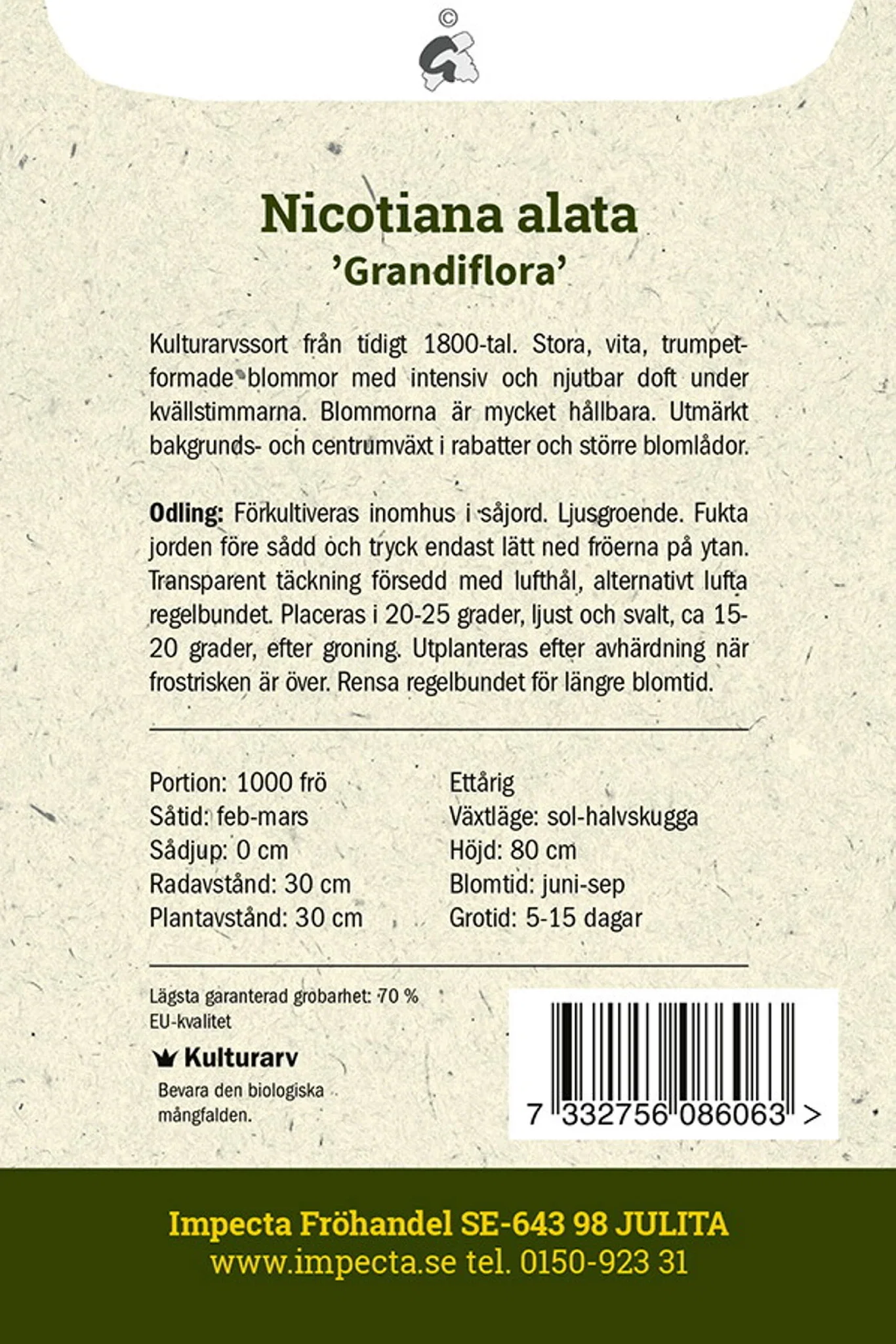 Nicotiana alata 'Grandiflora'