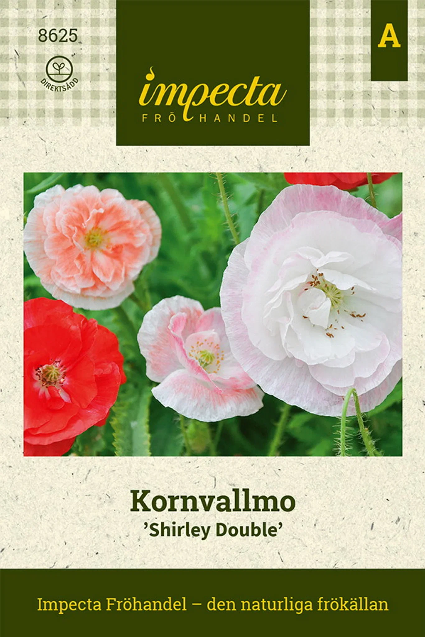 Papaver rhoeas 'Shirley Double'