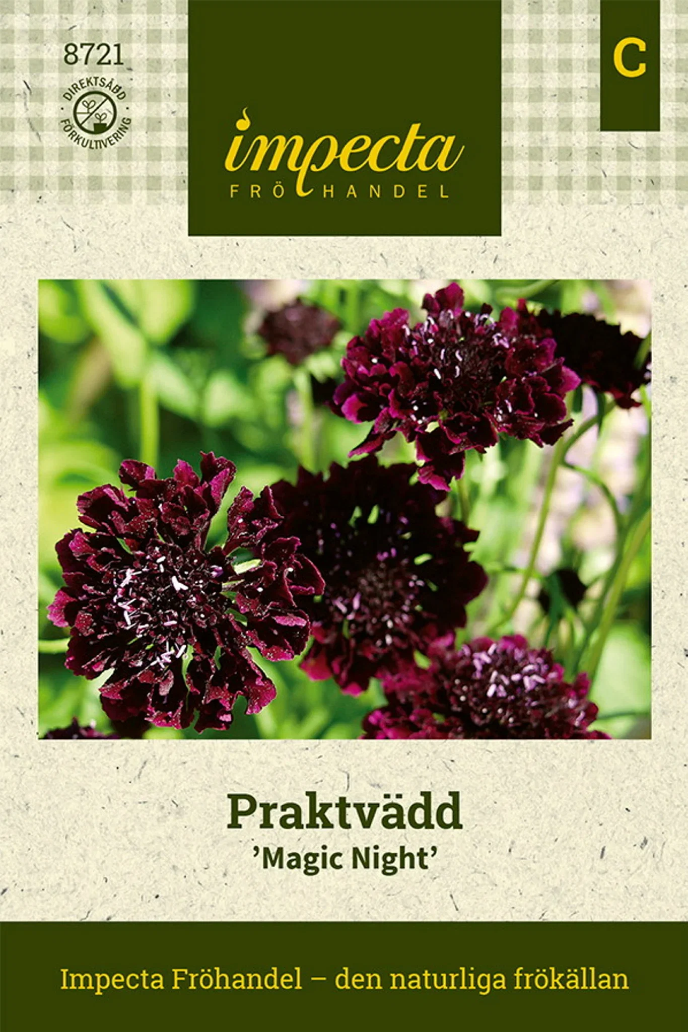 Scabiosa atropurpurea 'Magic Night'