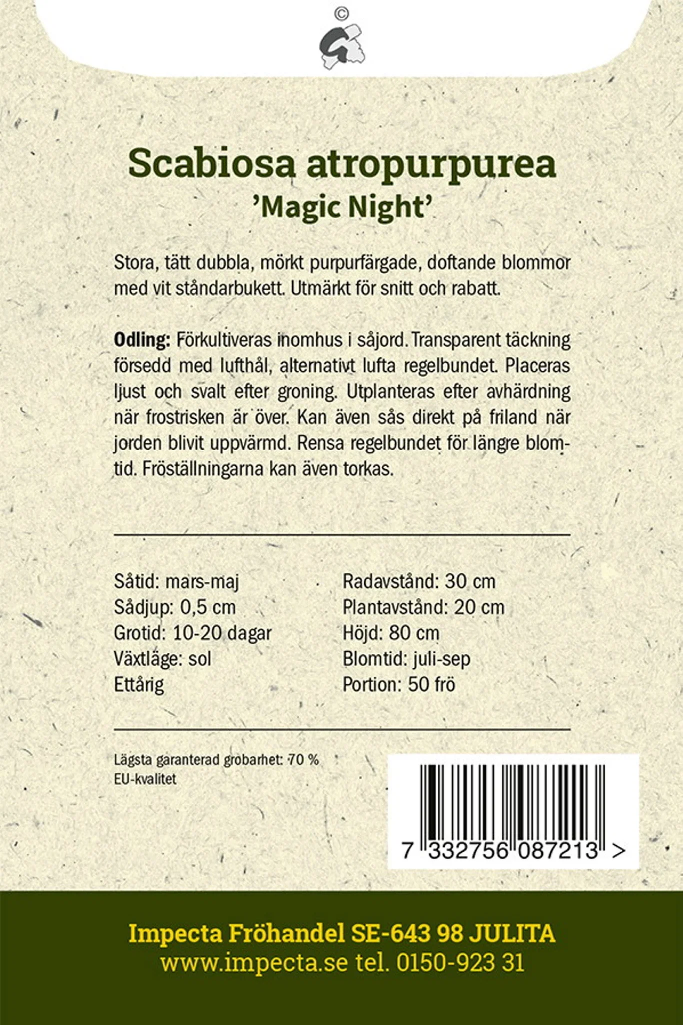 Scabiosa atropurpurea 'Magic Night'