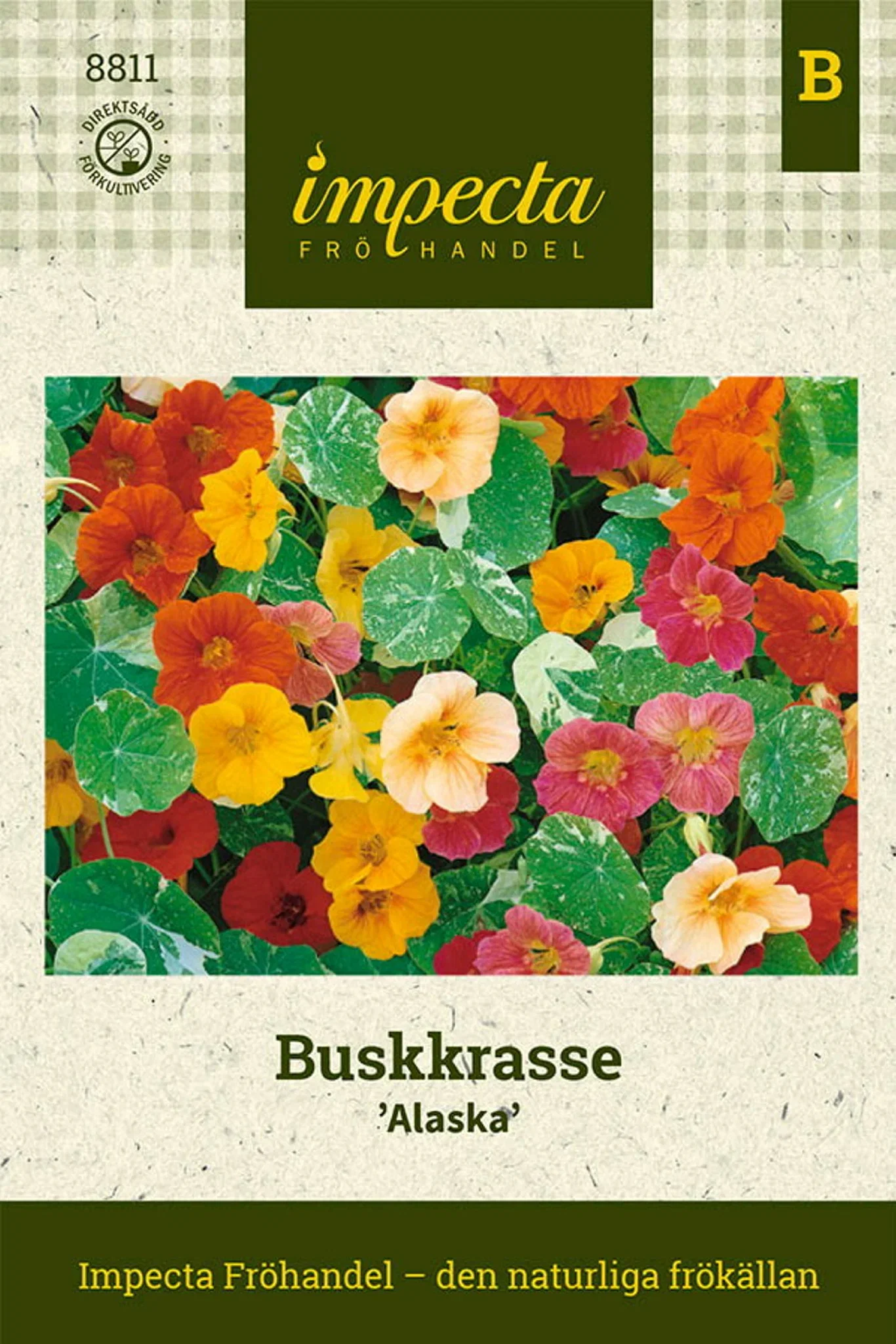 Tropaeolum majus 'Alaska'