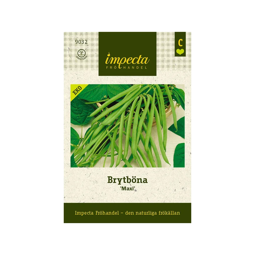 Brytböna 'Maxi'
