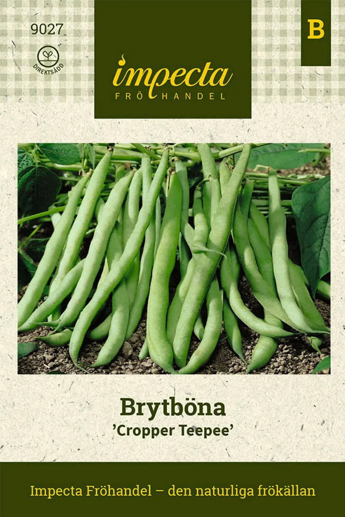 Phaseolus vulgaris 'Cropper Teepee'