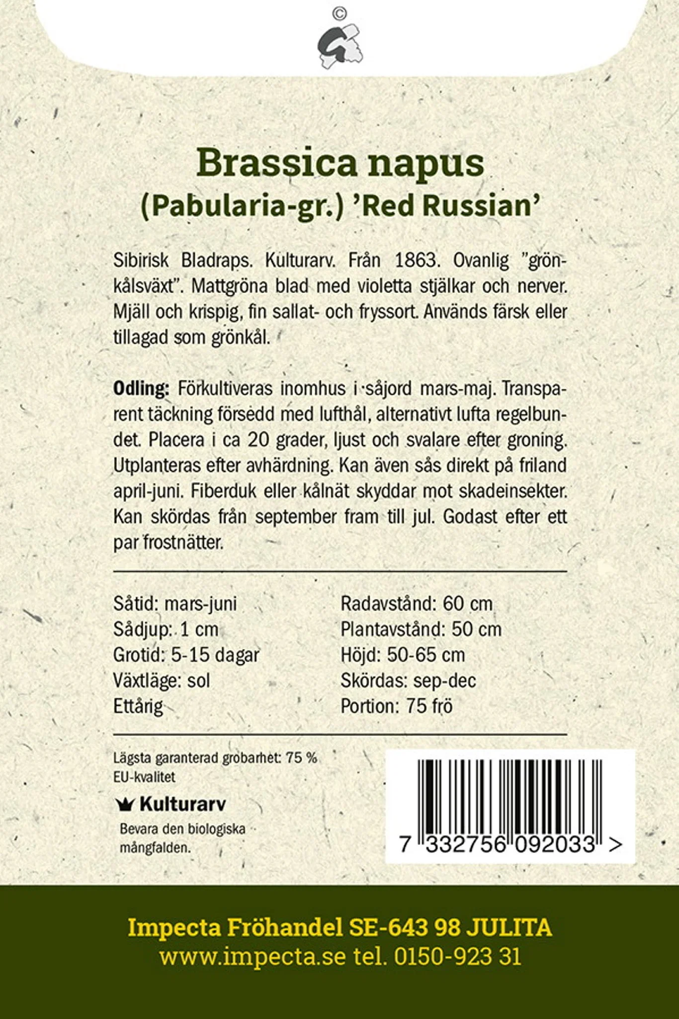 Grönkål 'Red Russian'