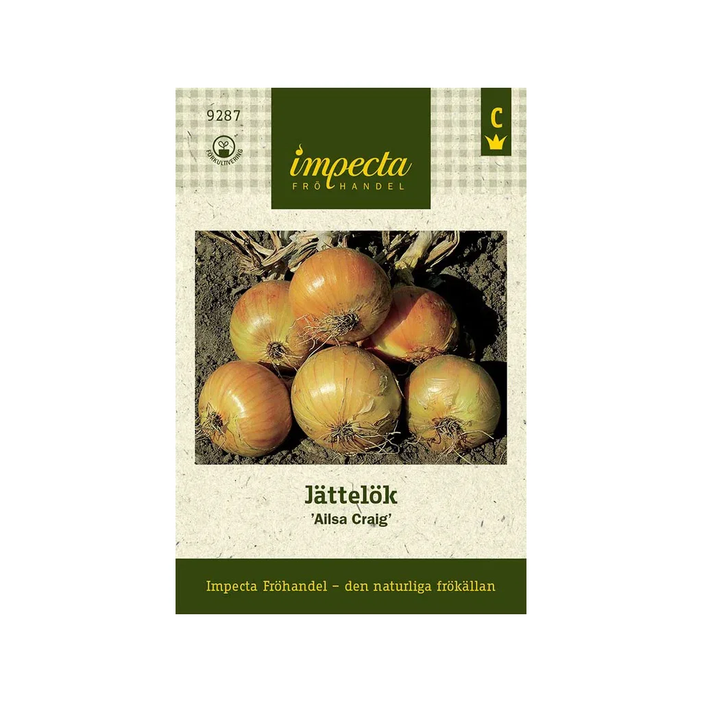 Jättelök 'Ailsa Craig'