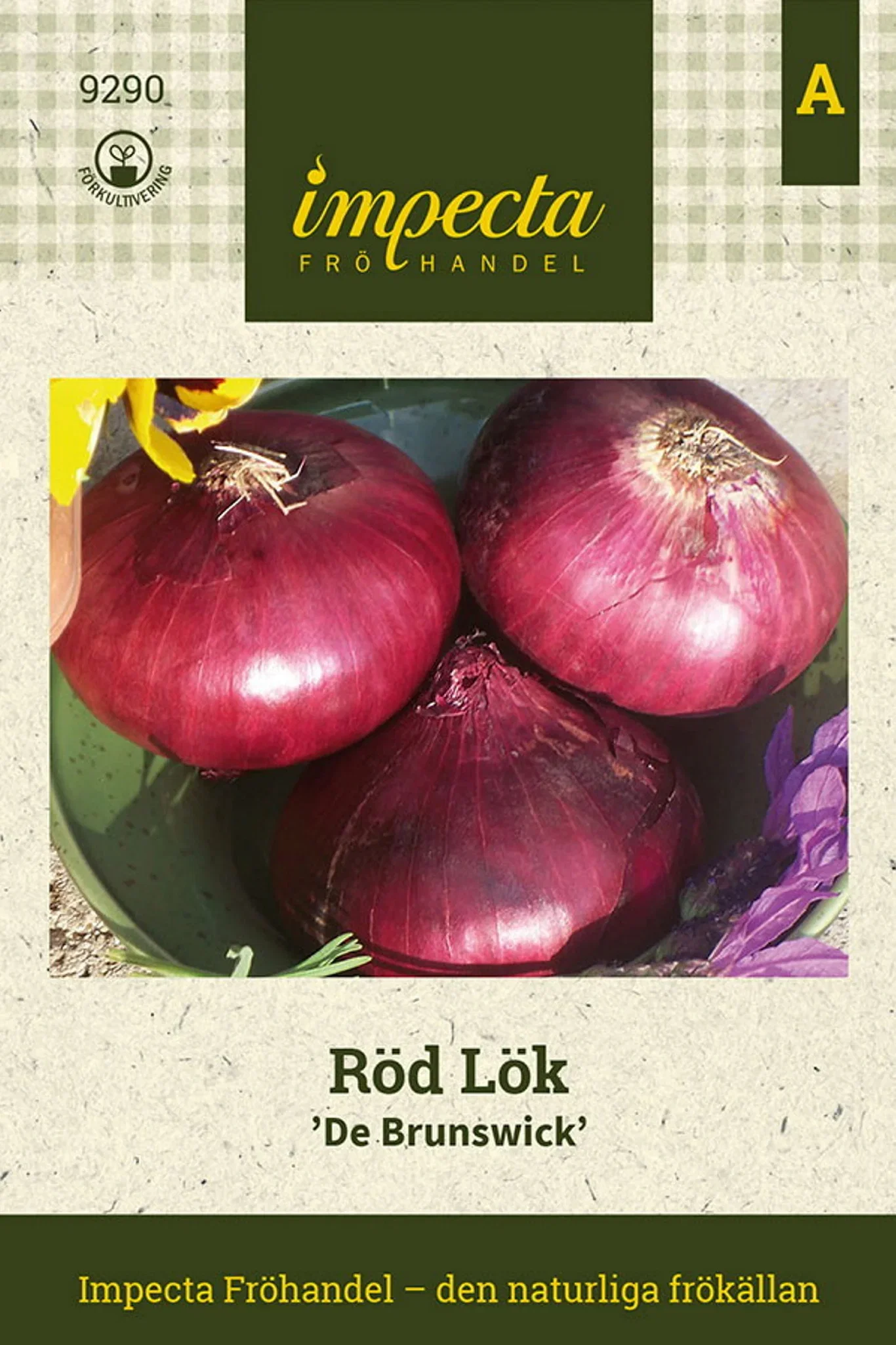 Röd Lök 'Red Brunswick'