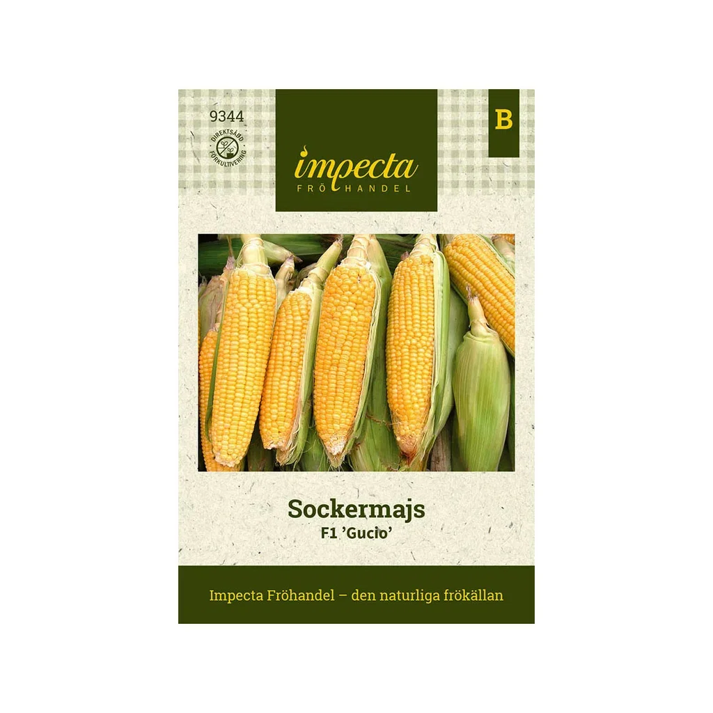 Sockermajs F1 'Gucio'