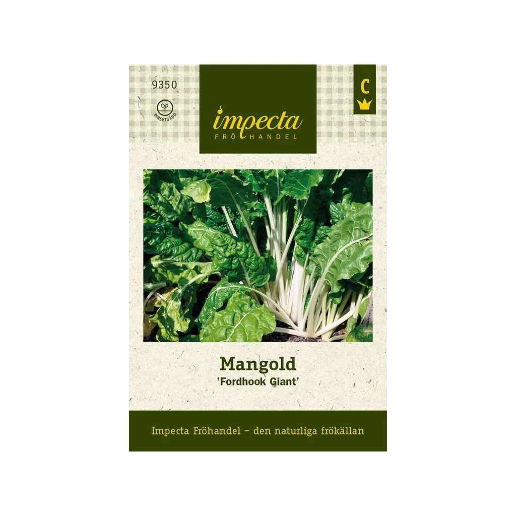 Mangold 'Fordhook Giant'