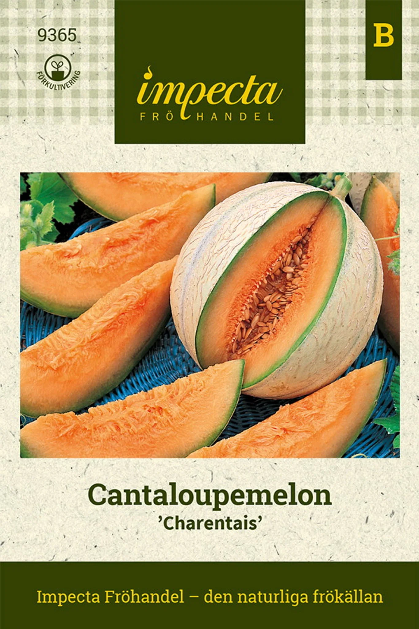 Cucumis melo 'Cantalupo di Charentais'