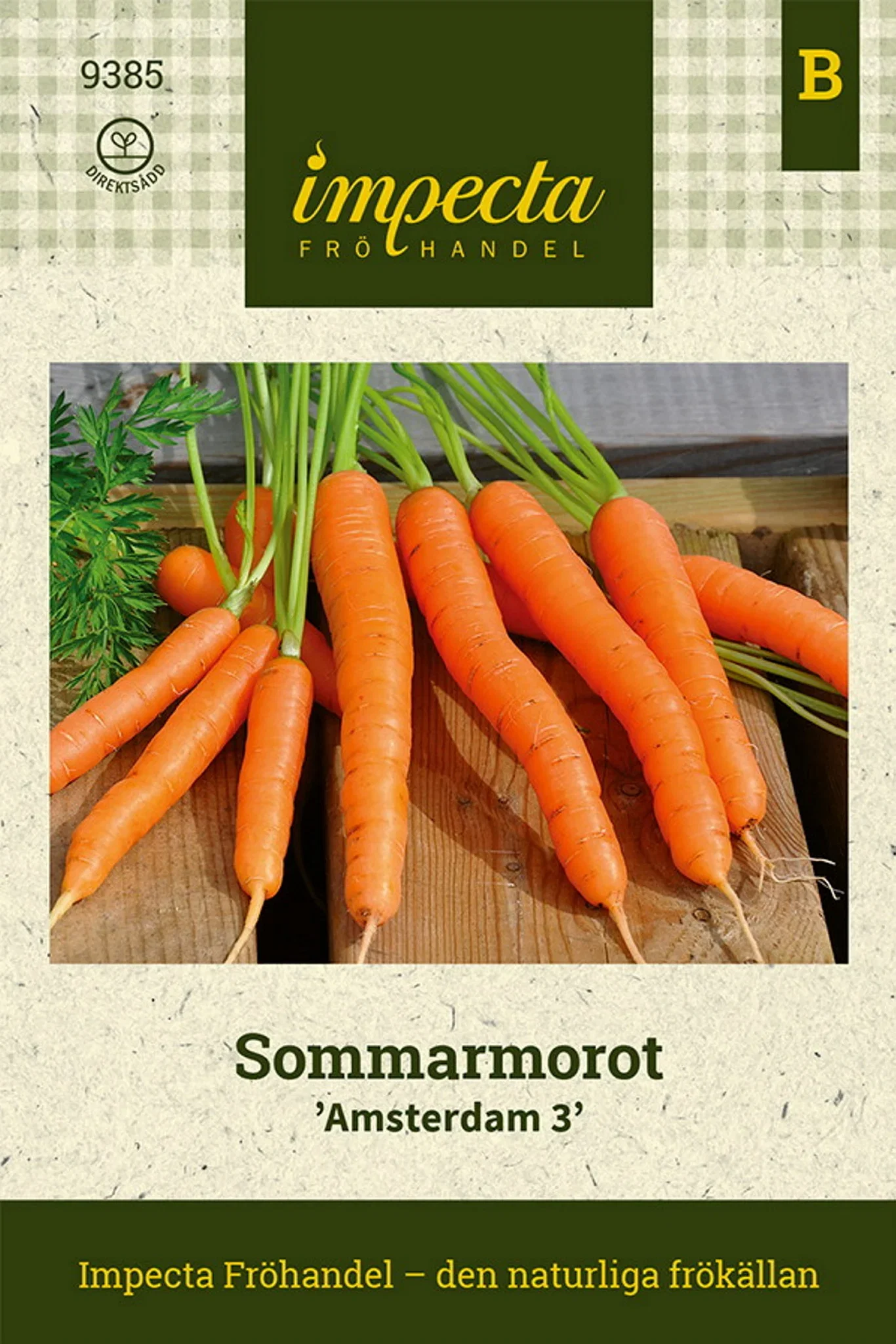 Daucus carota 'Amsterdam Forcing 3'