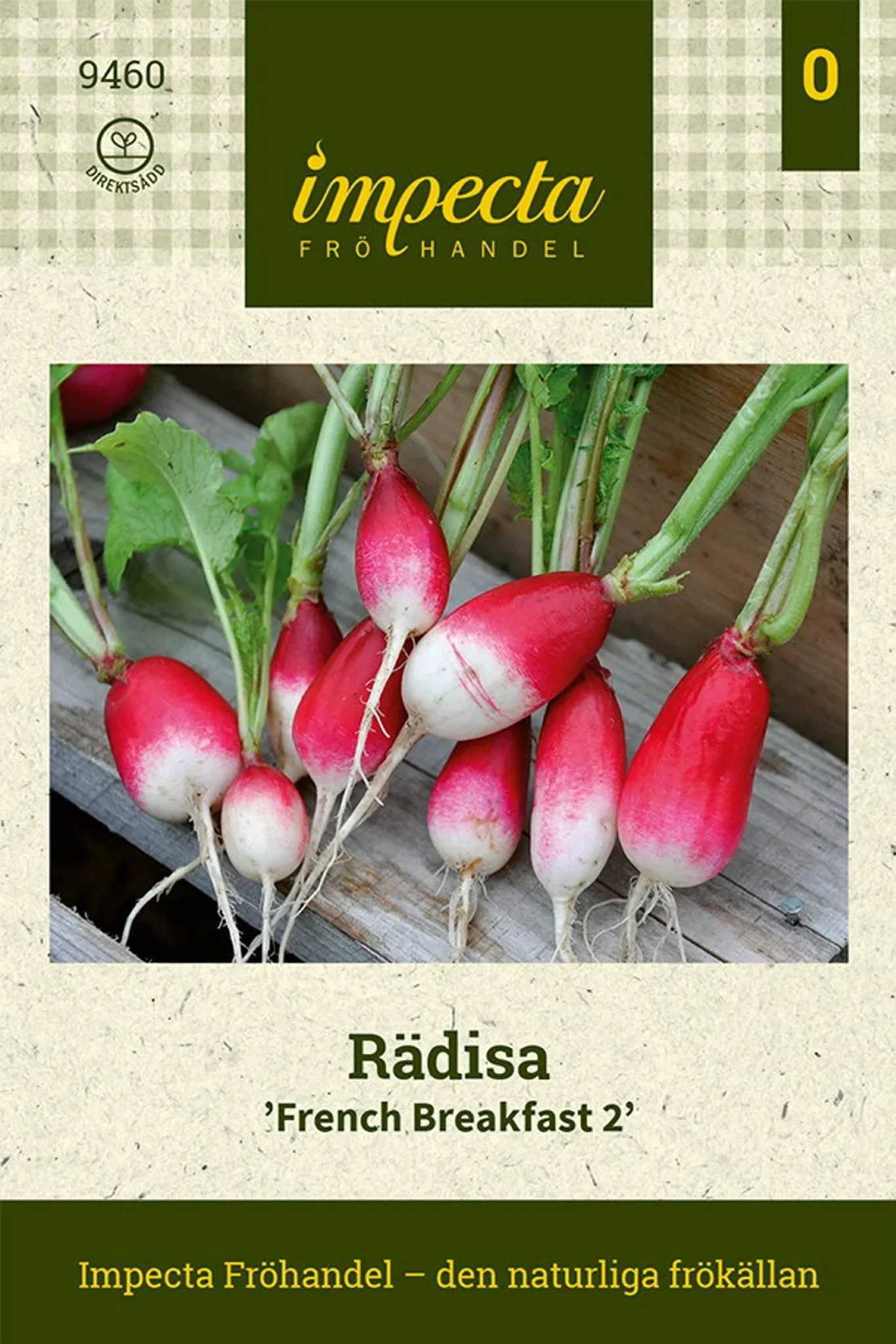 Raphanus sativus 'French Breakfast 2'