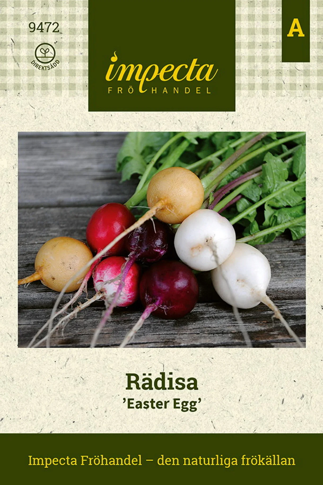 Raphanus sativus 'Easter Egg'