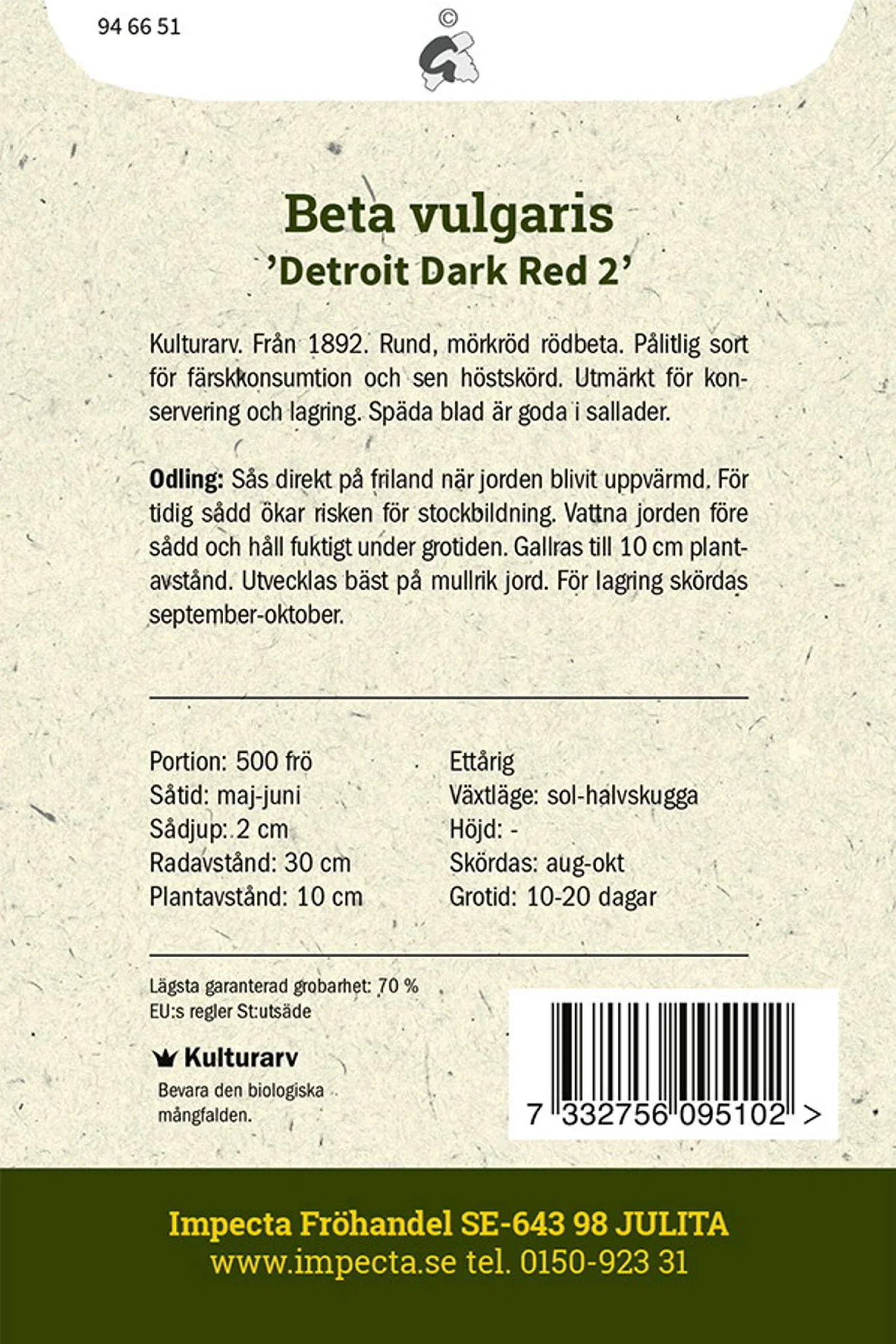 Beta vulgaris 'Detroit Dark Red 2'