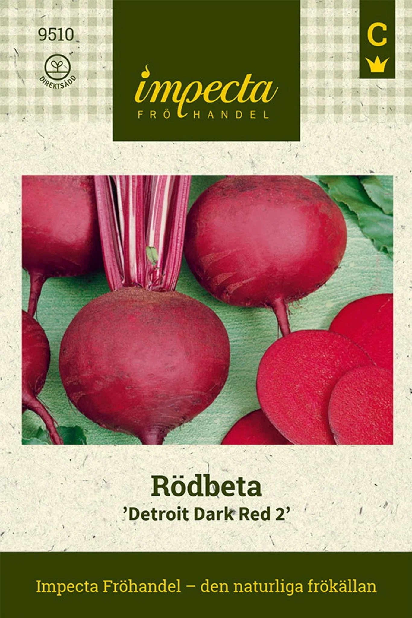 Beta vulgaris 'Detroit Dark Red 2'