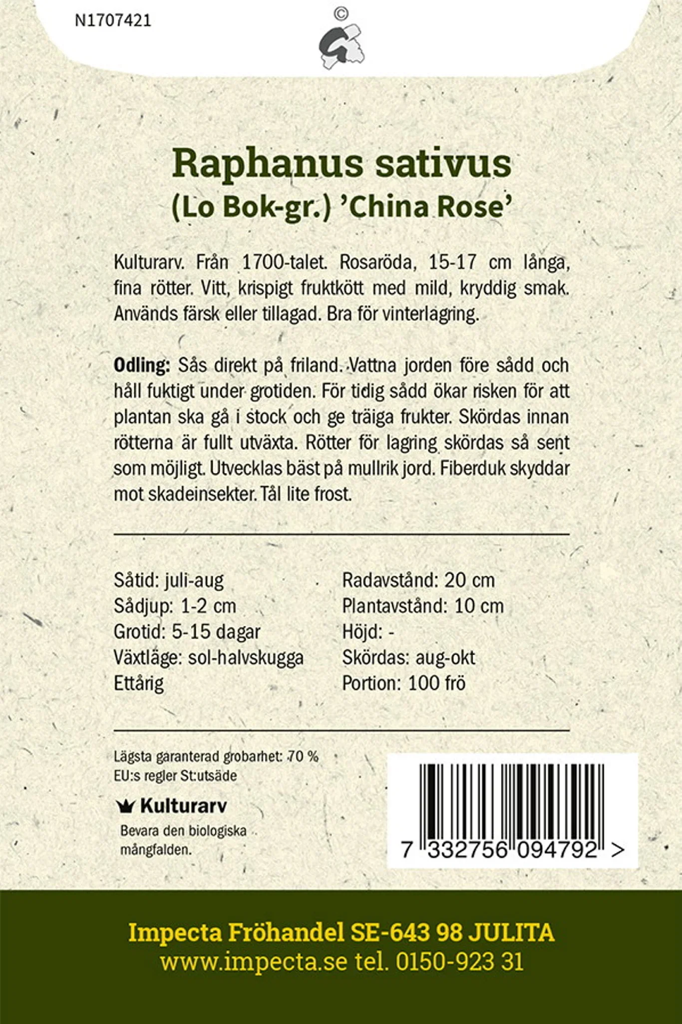 Kinesisk Rättika 'China Rose'