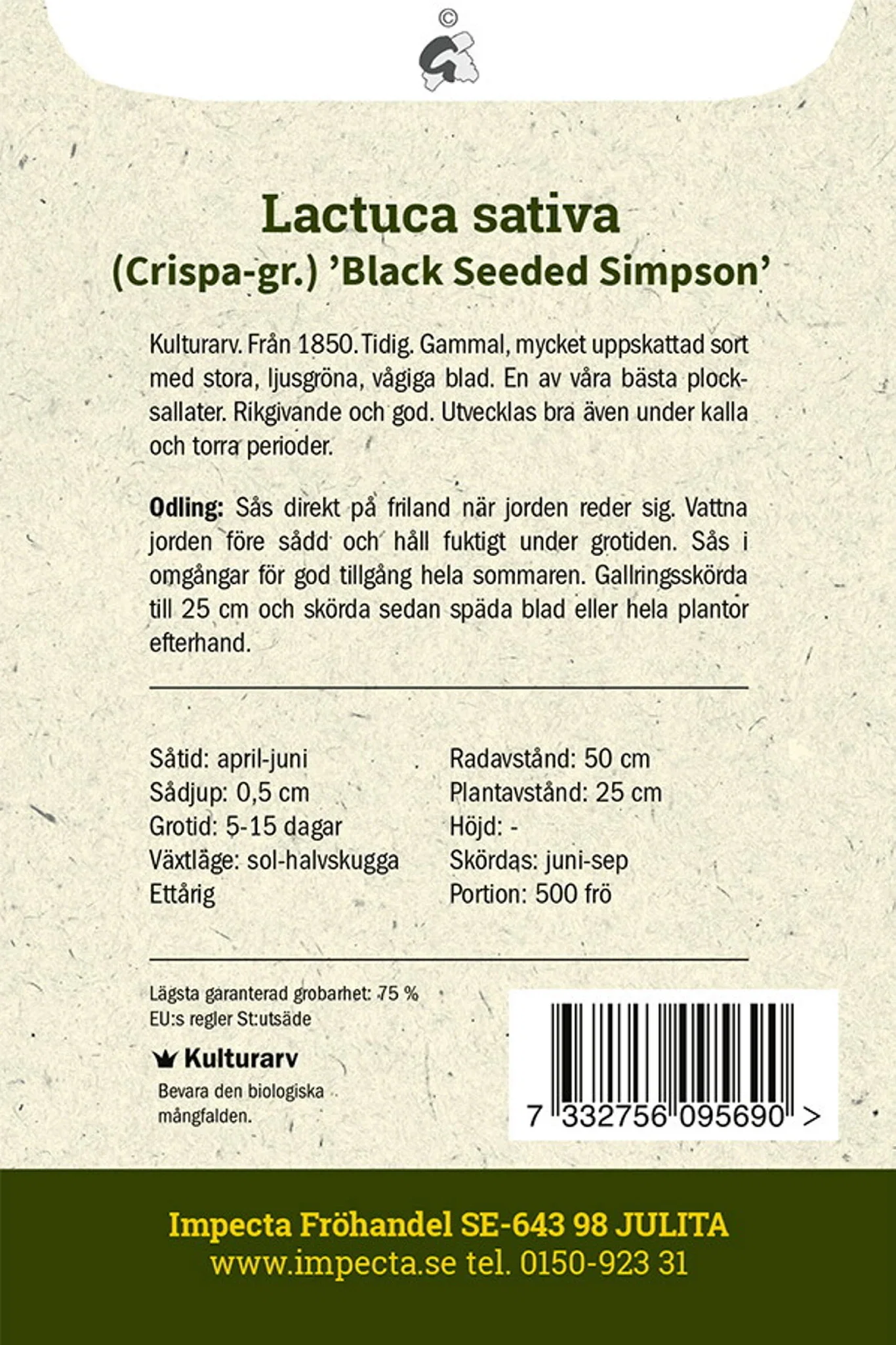Lactuca sativa 'Black Seeded Simpson'
