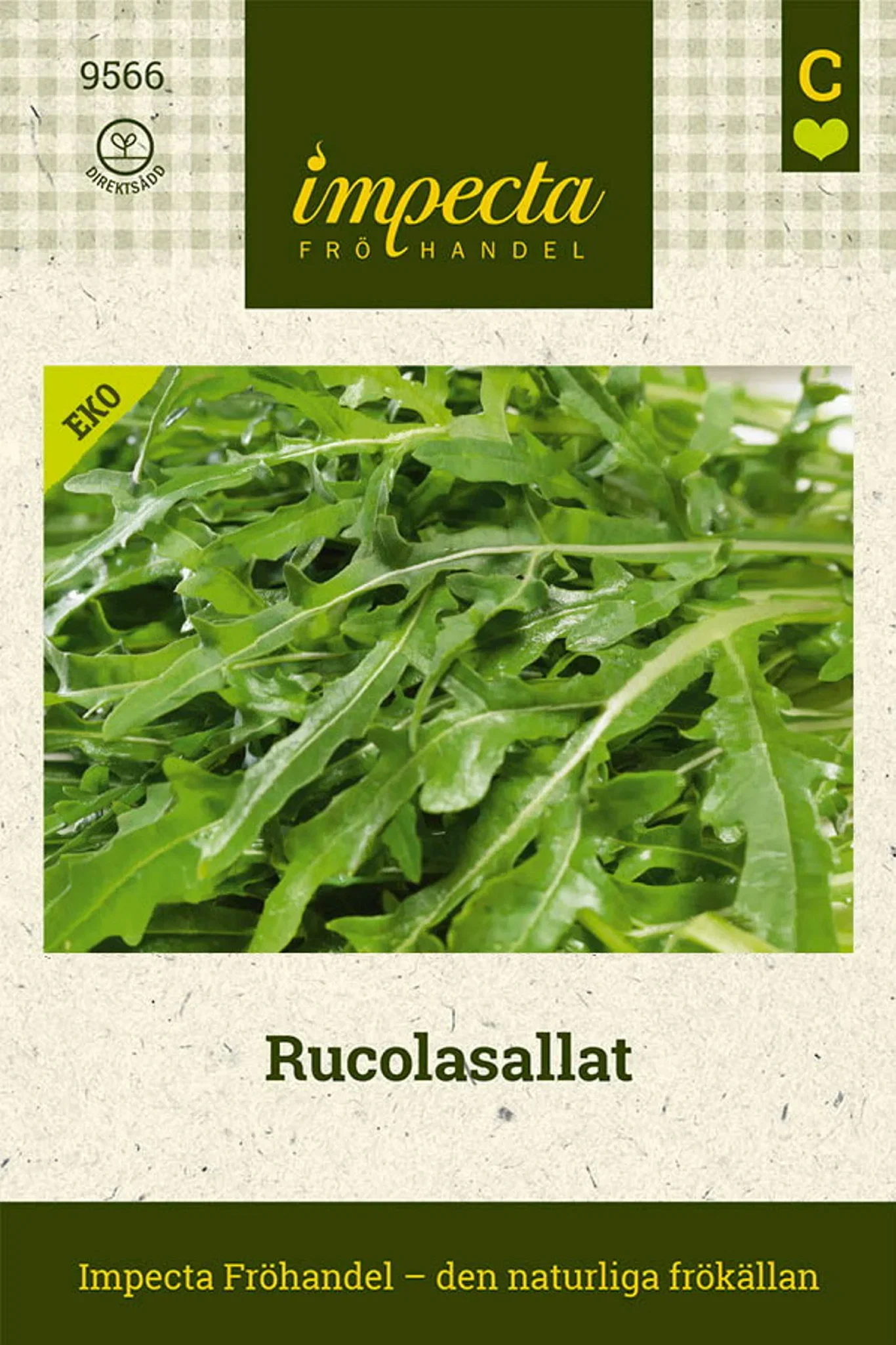 Rucolasallat