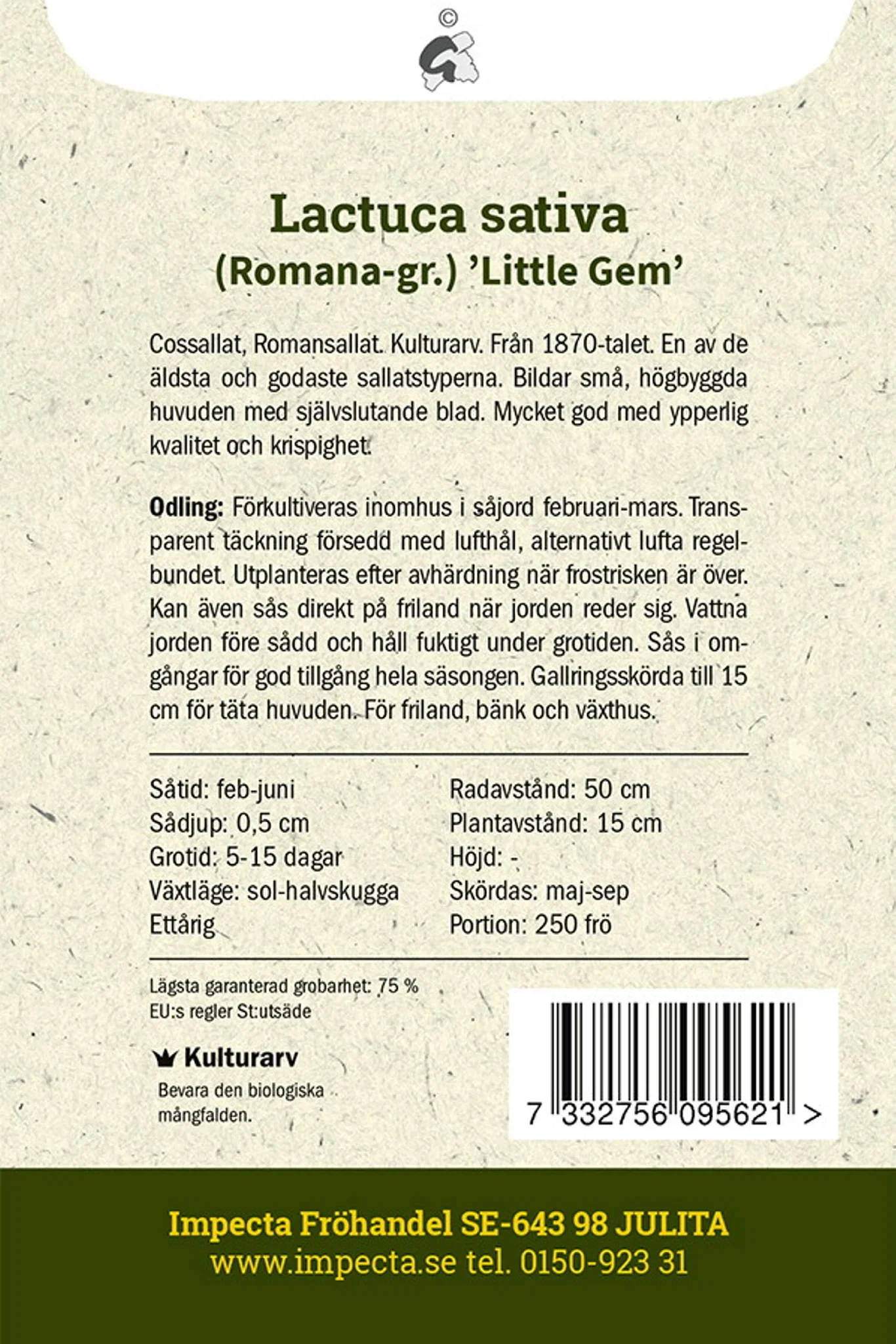 Lactuca sativa 'Little Gem'