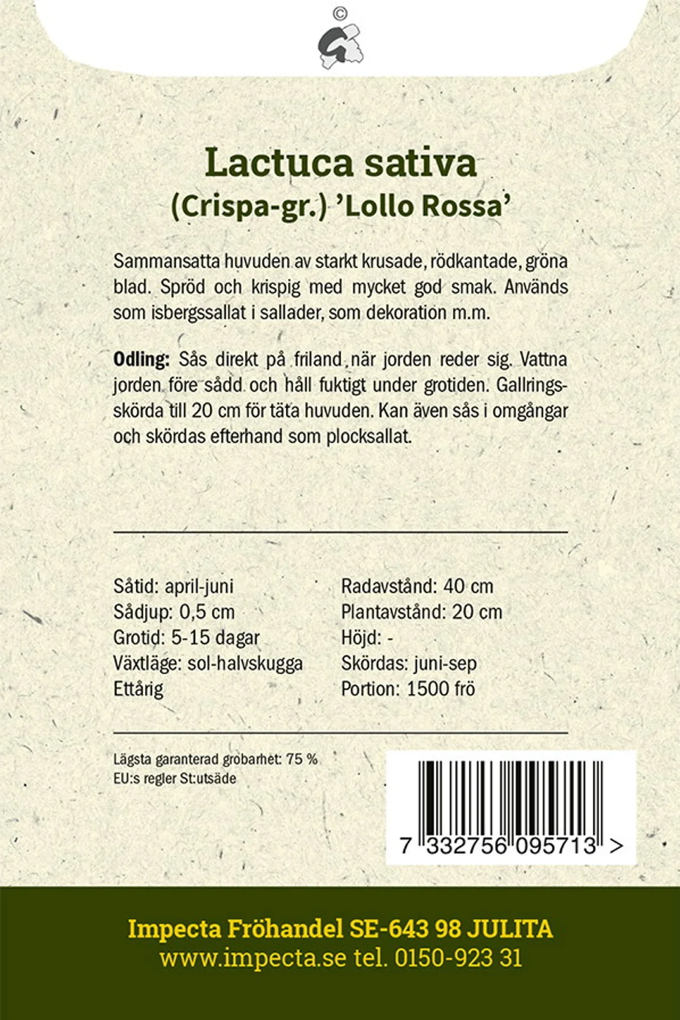 Lactuca sativa 'Lollo Rossa'