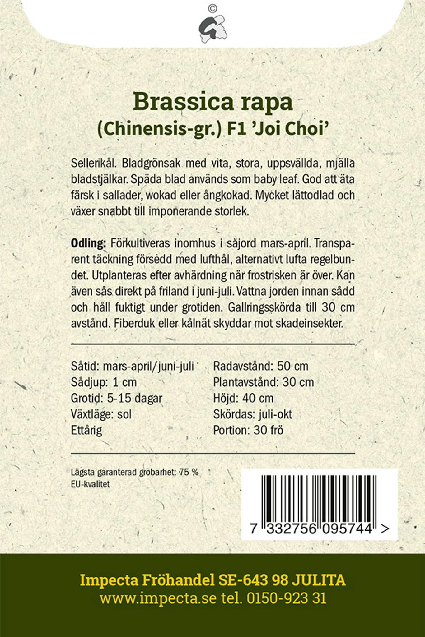 Pak Choi F1 'Joi Choi'
