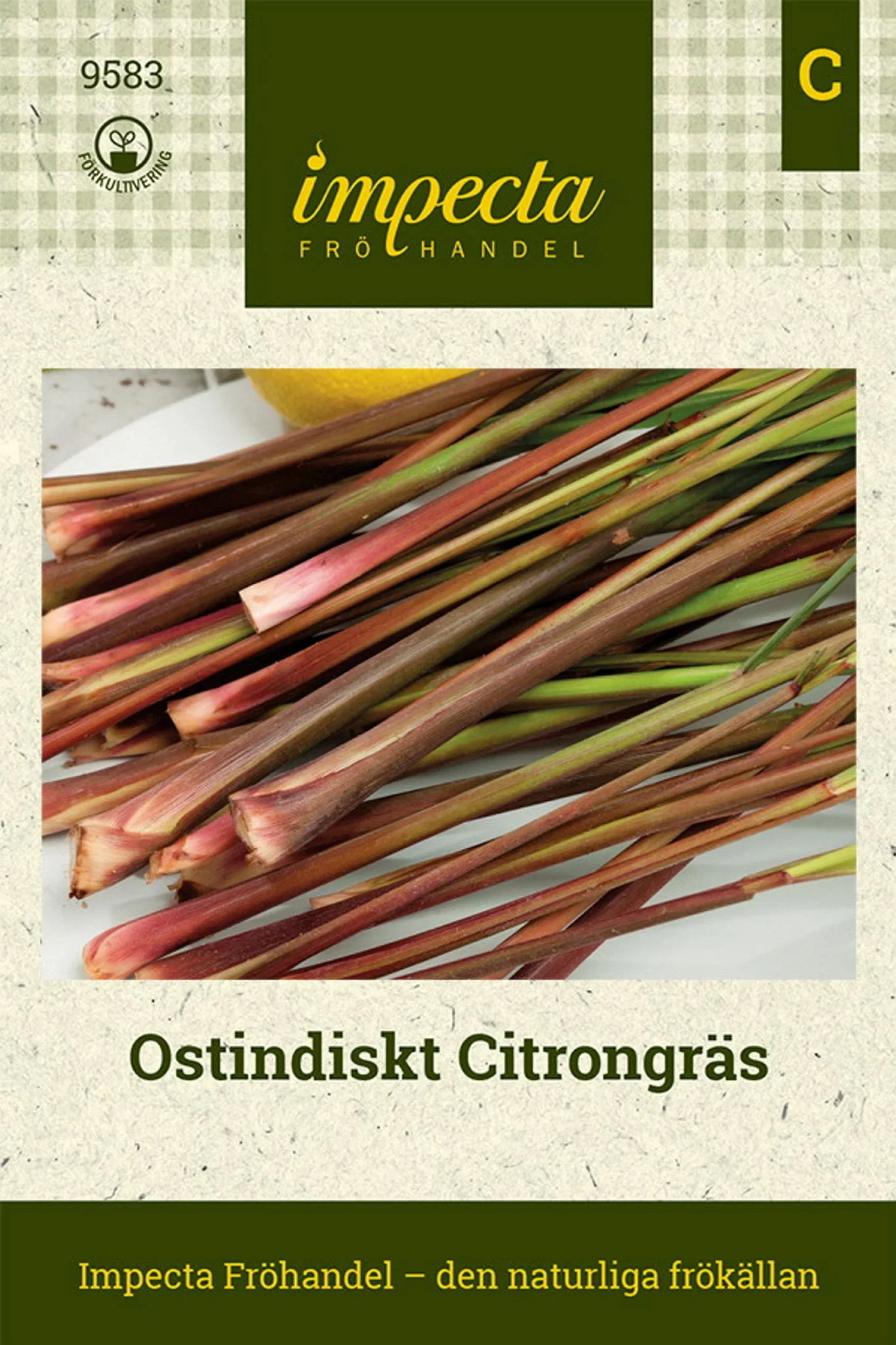 Cymbopogon flexuosus