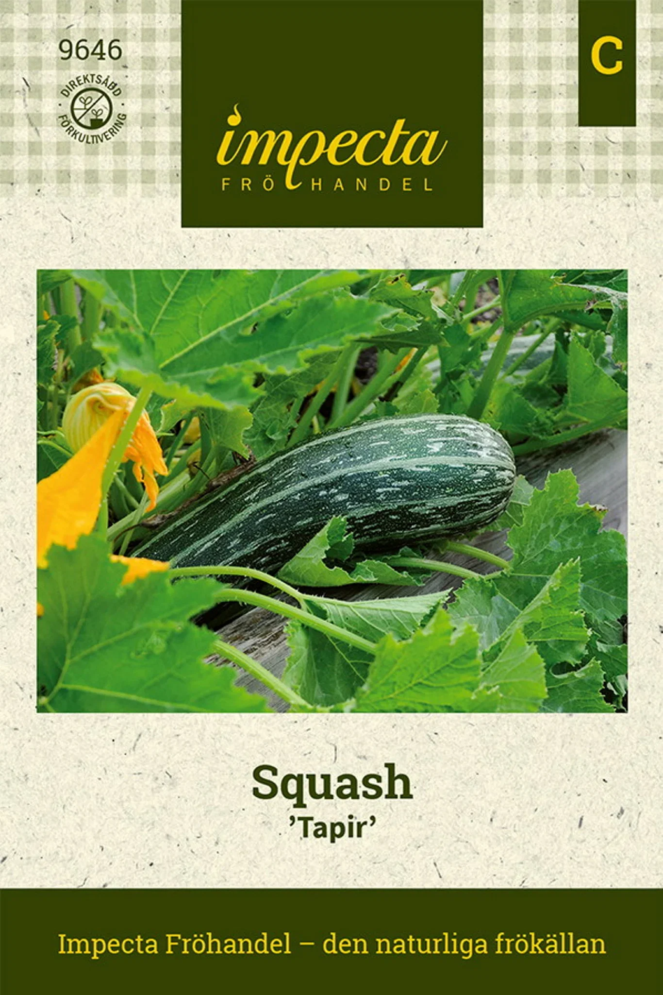 Squash 'Tapir'