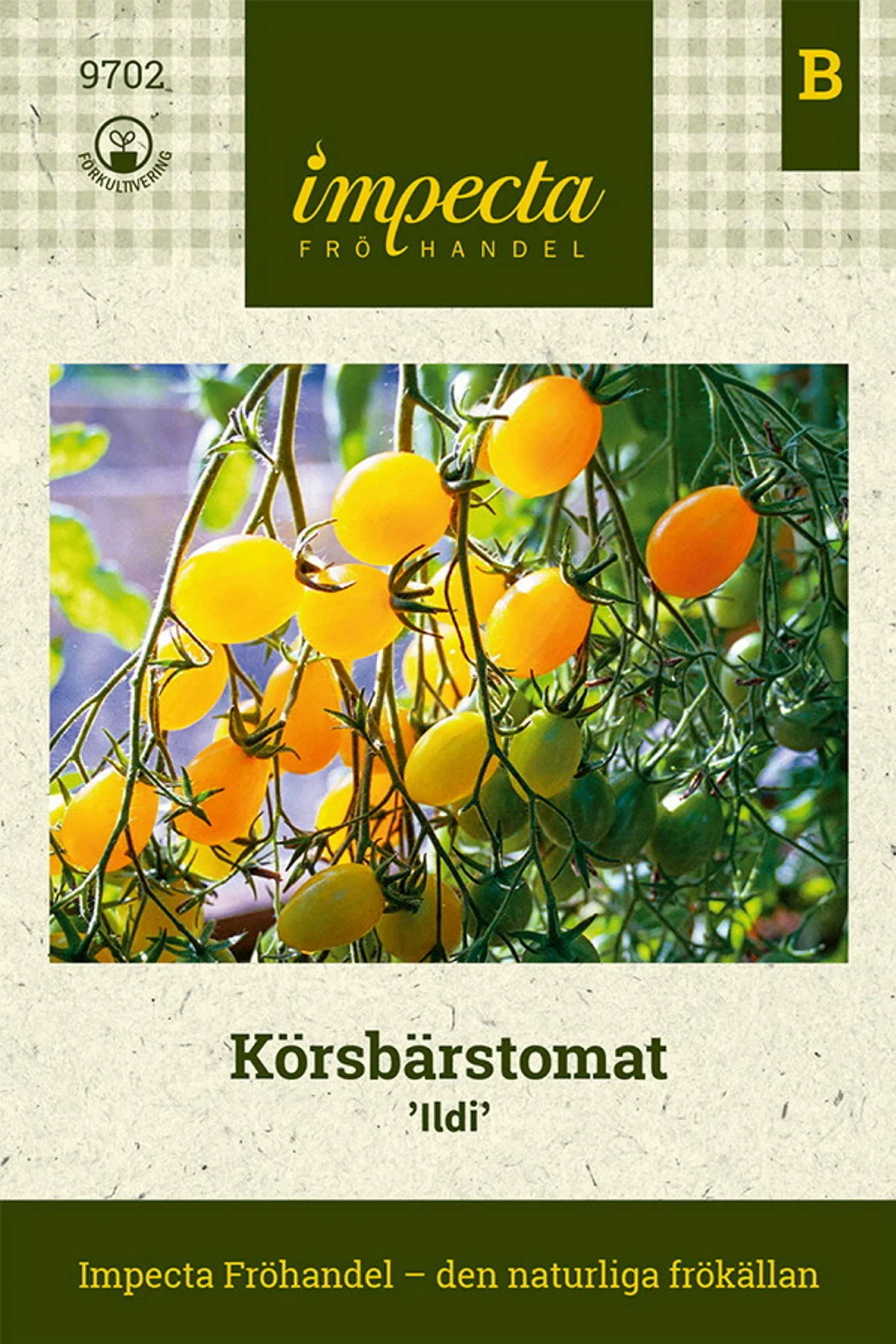 Solanum lycopersicum 'Ildi'