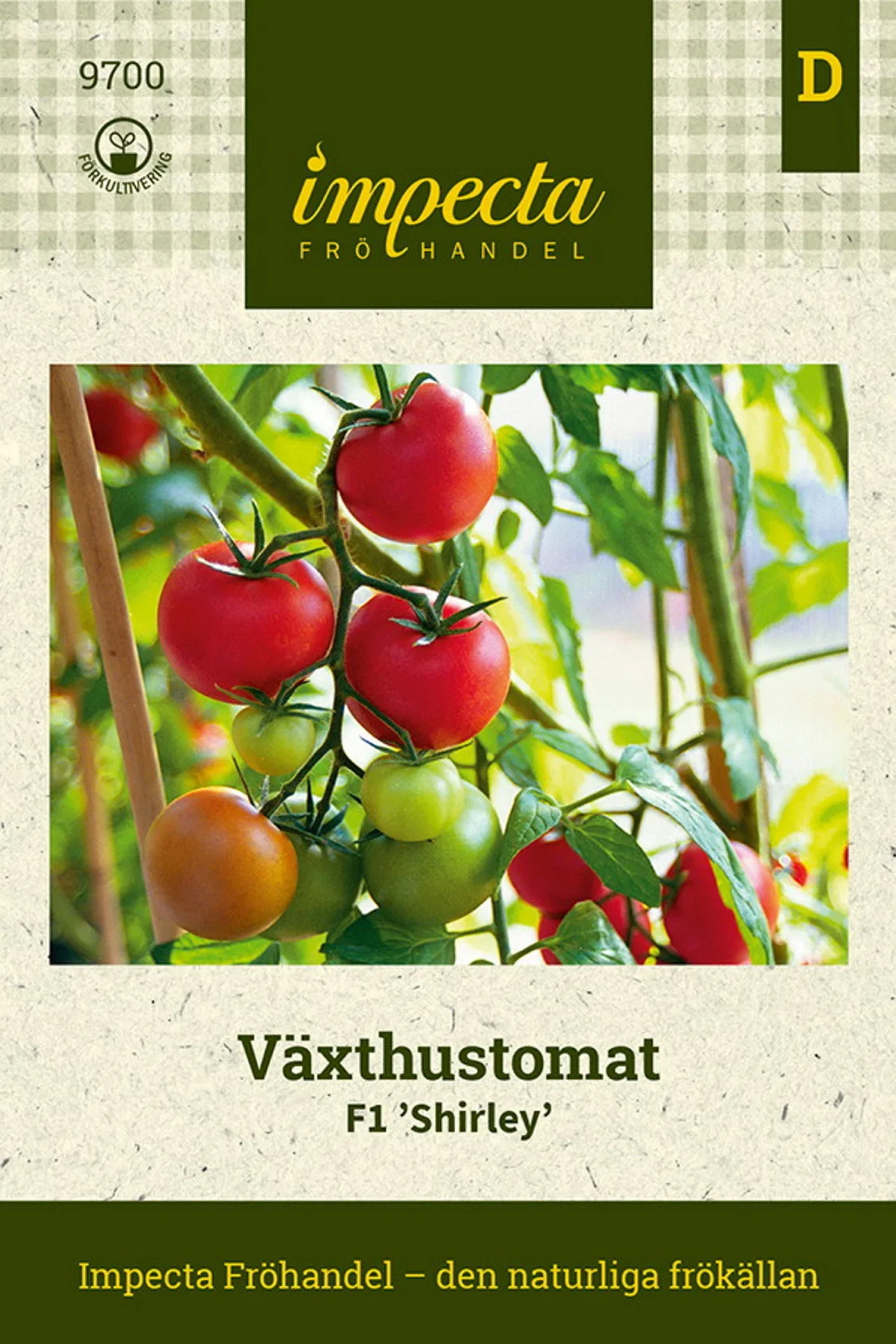 Växthustomat F1 'Shirley'