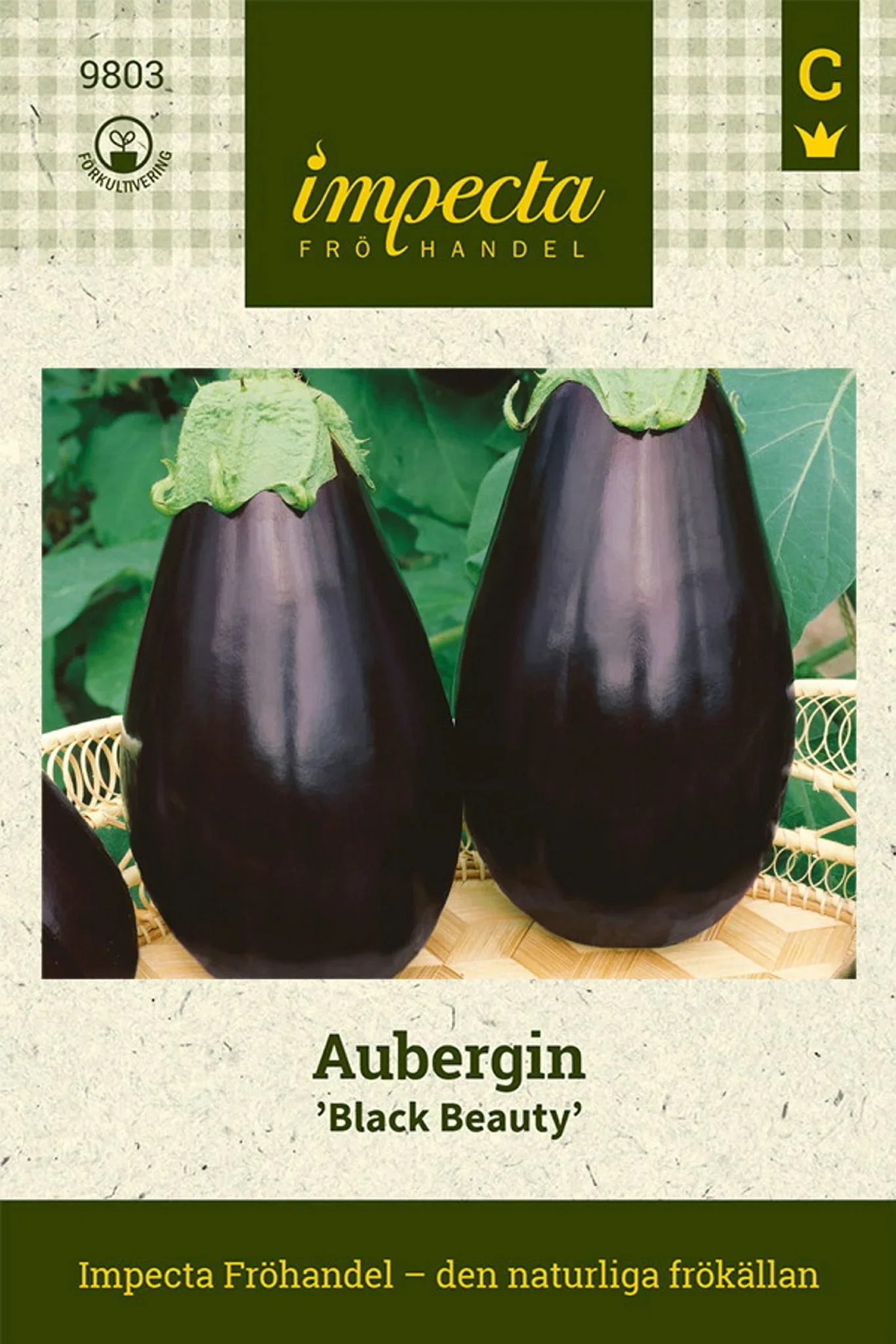 Aubergin 'Black Beauty'