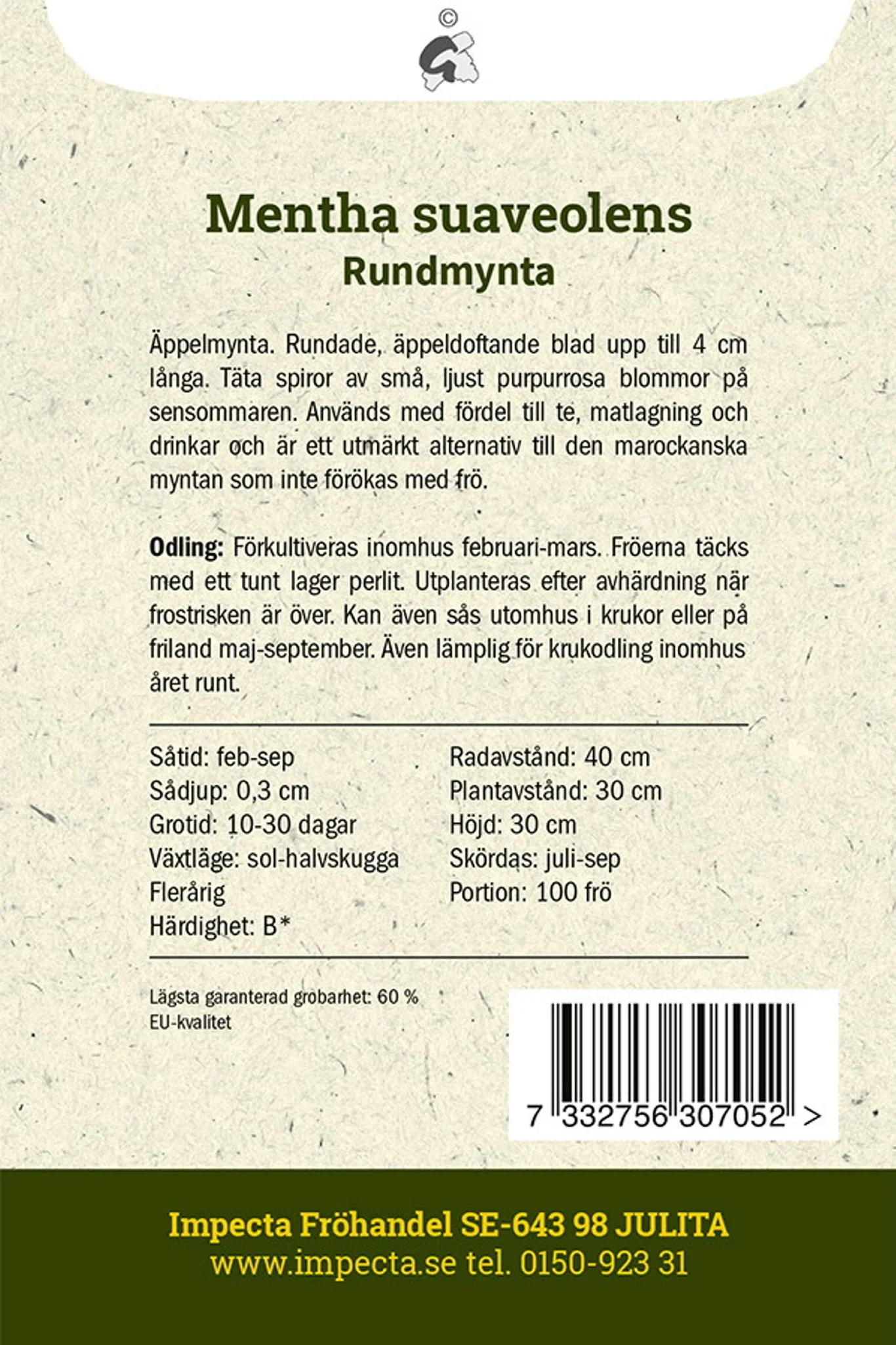 Rundmynta
