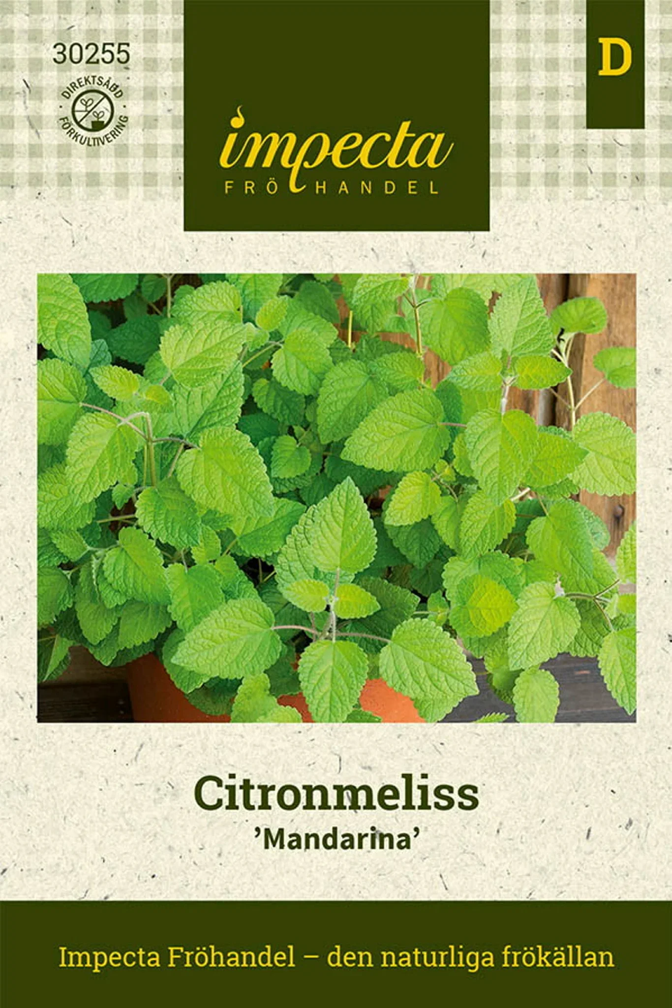 Citronmeliss 'Mandarina'