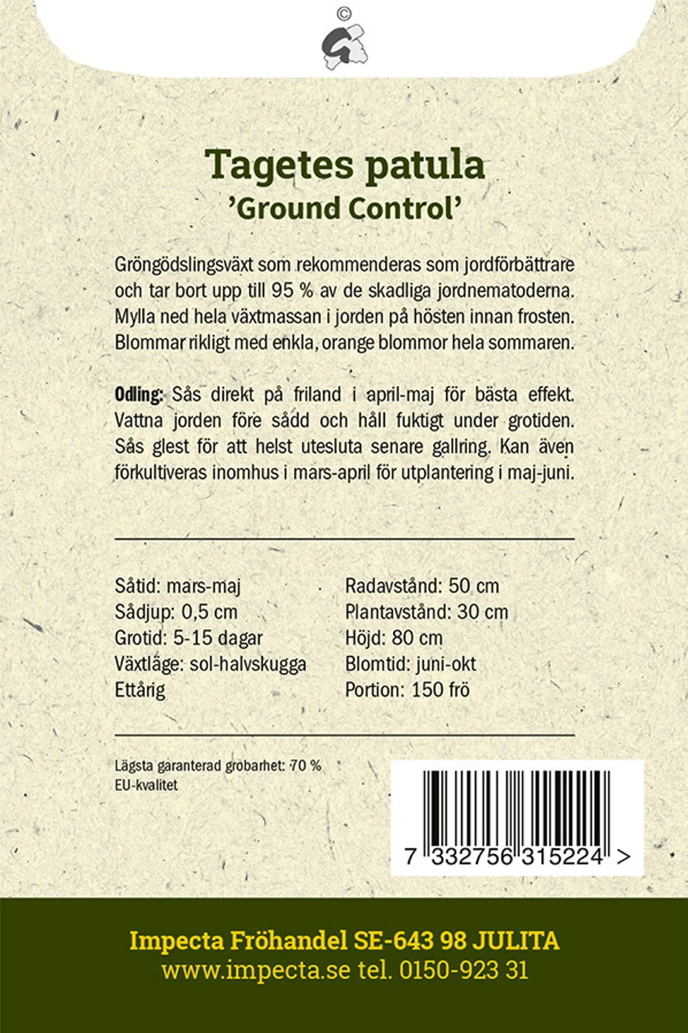 Tagetes patula 'Ground Control'