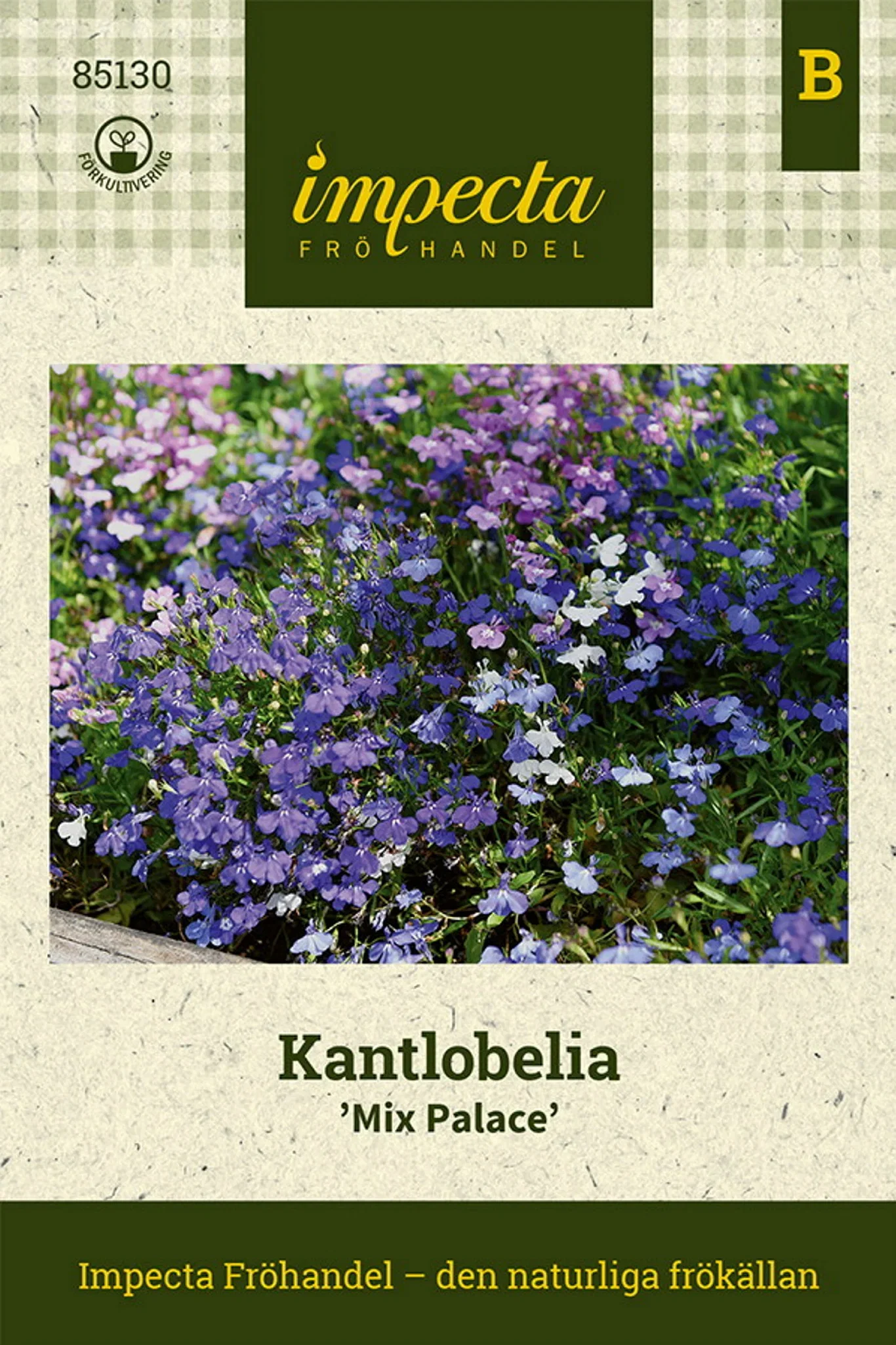 Kantlobelia 'Mix Palace'