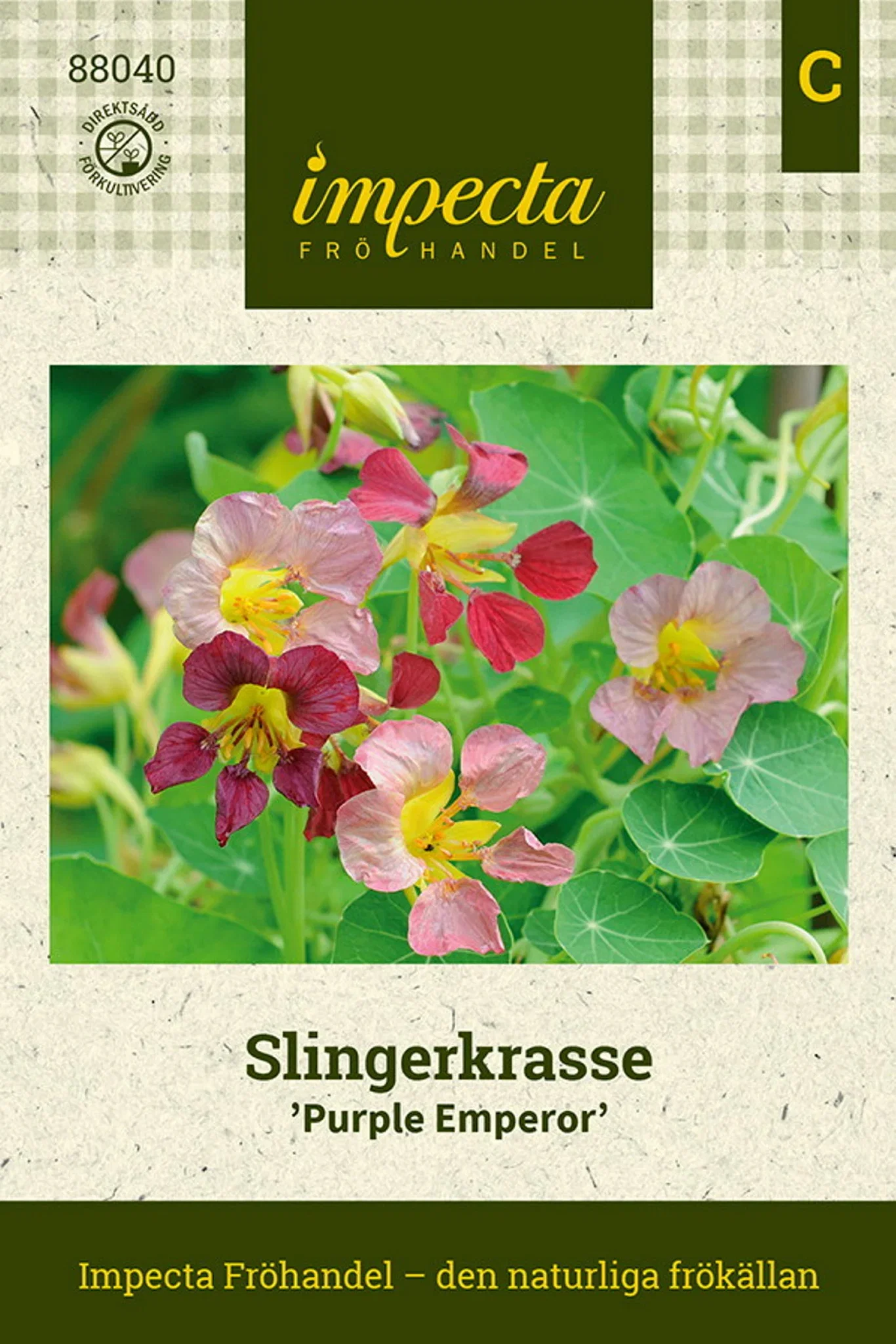 Tropaeolum majus 'Purple Emperor'