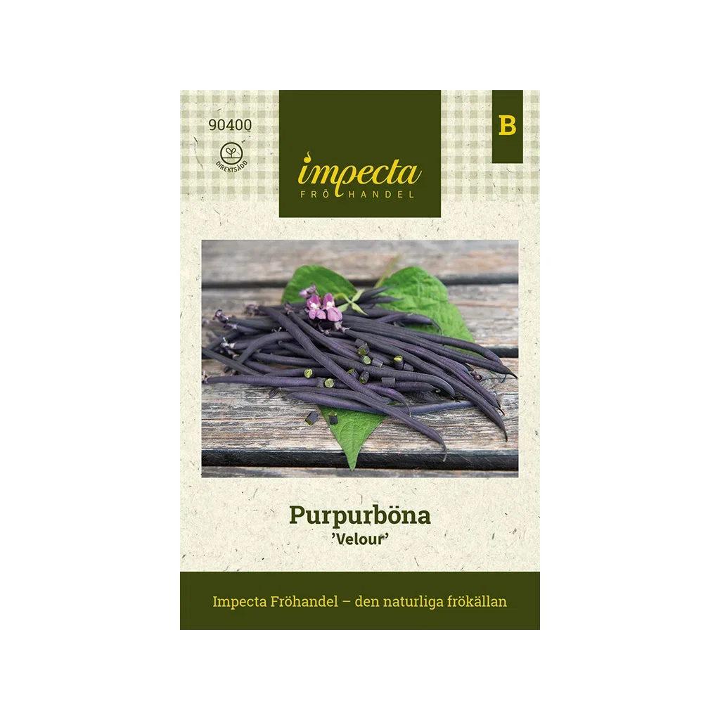 Purpurböna 'Velour'