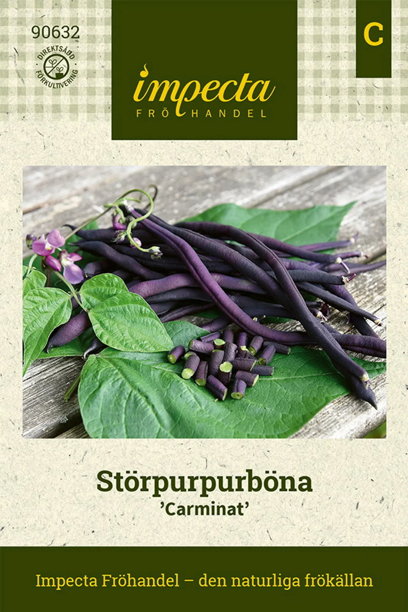 Phaseolus vulgaris 'Carminat'