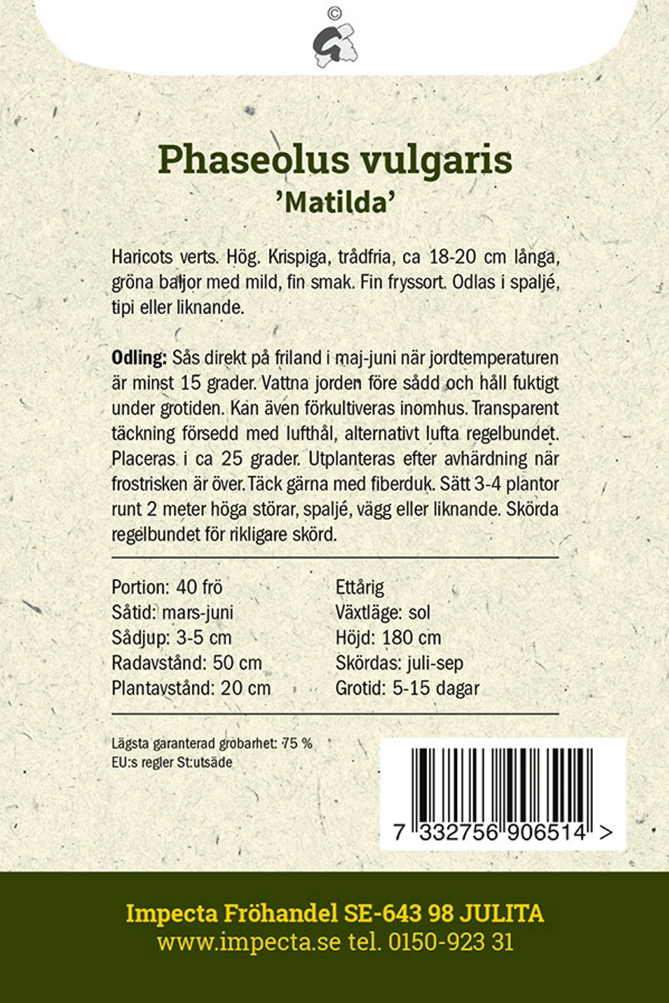 Störbrytböna 'Matilda'