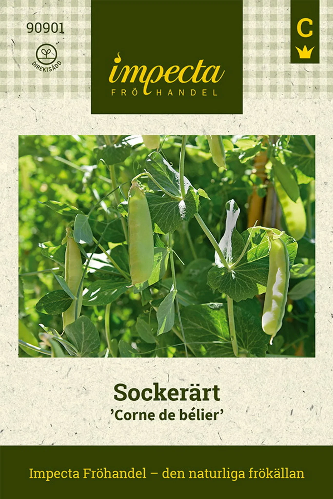 Sockerärt 'Corne de bélier'