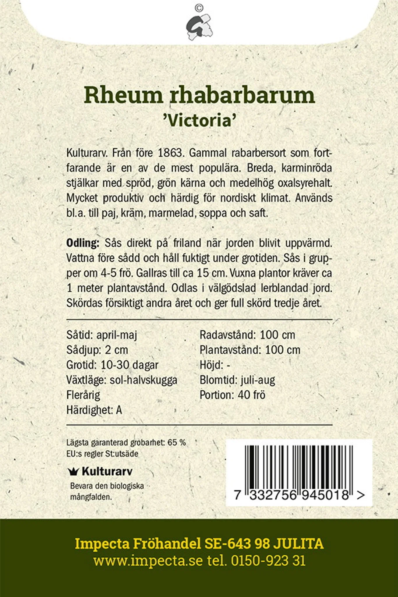 Rheum rhabarbarum 'Victoria'