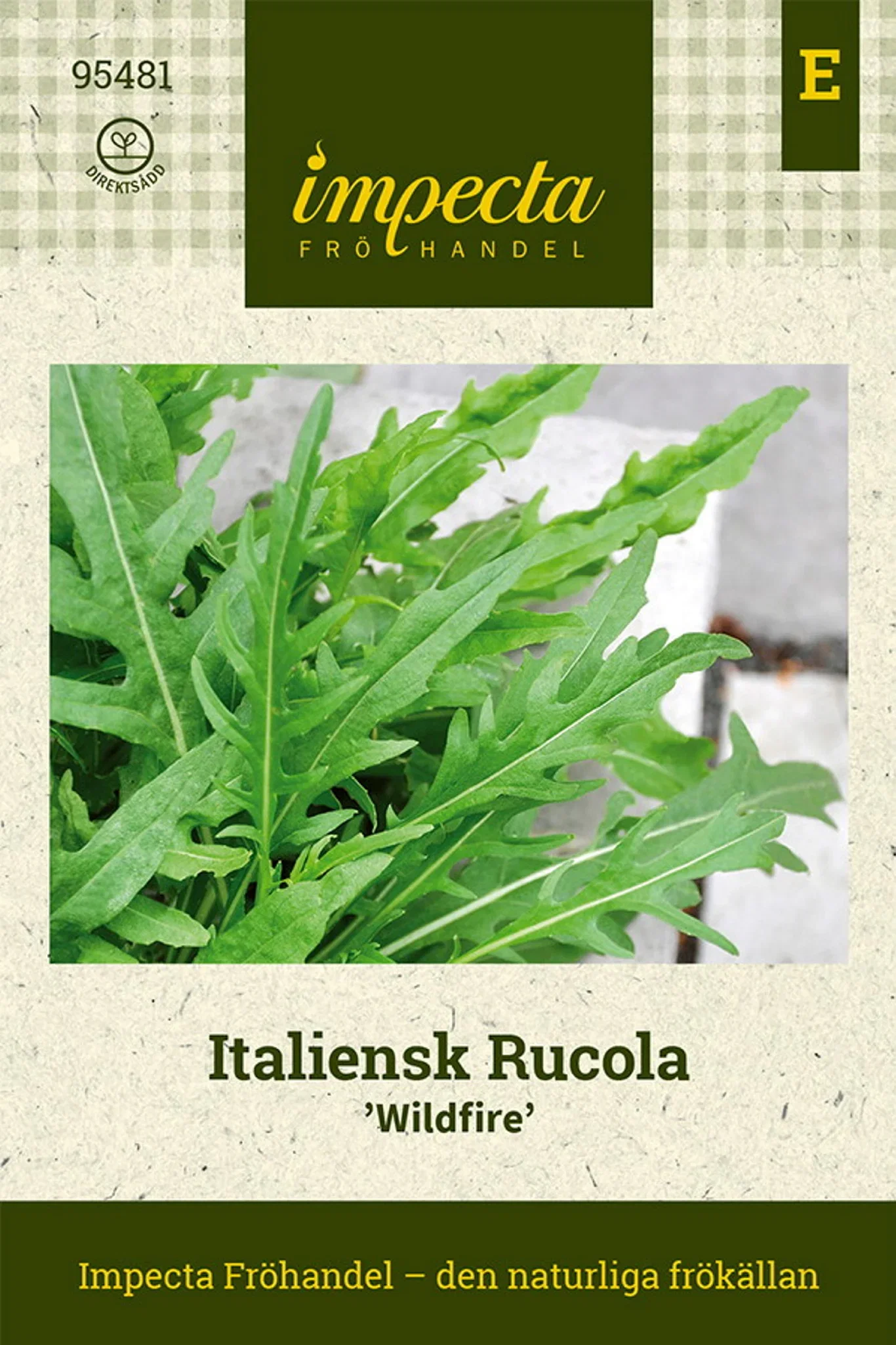 Diplotaxis tenuifolia 'Wildfire'