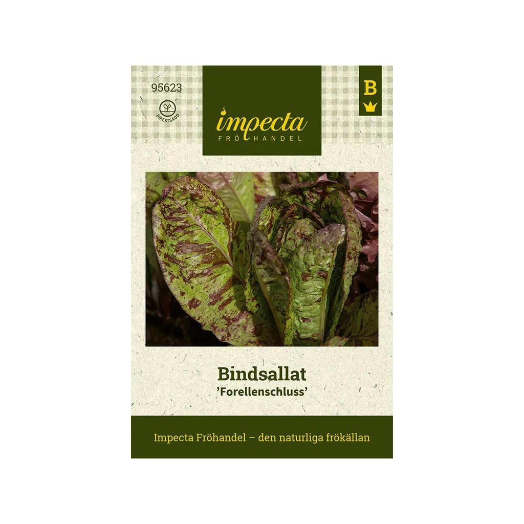 Bindsallat 'Forellenschluss'
