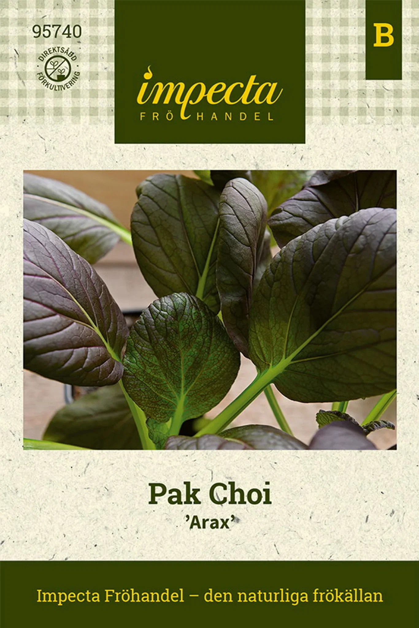 Brassica rapa 'Arax'