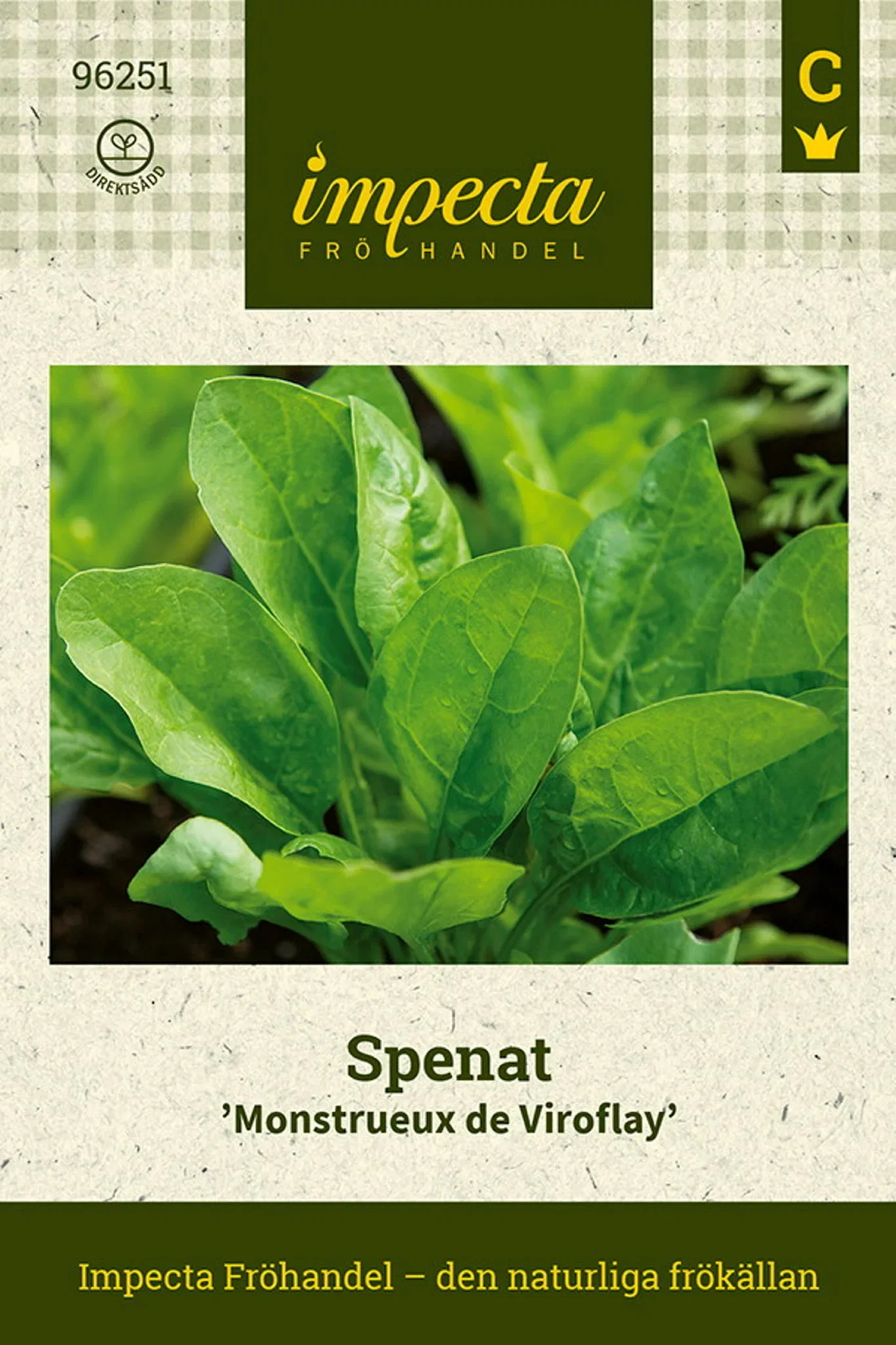 Spinacia oleracea 'Monstrueux de Viroflay'