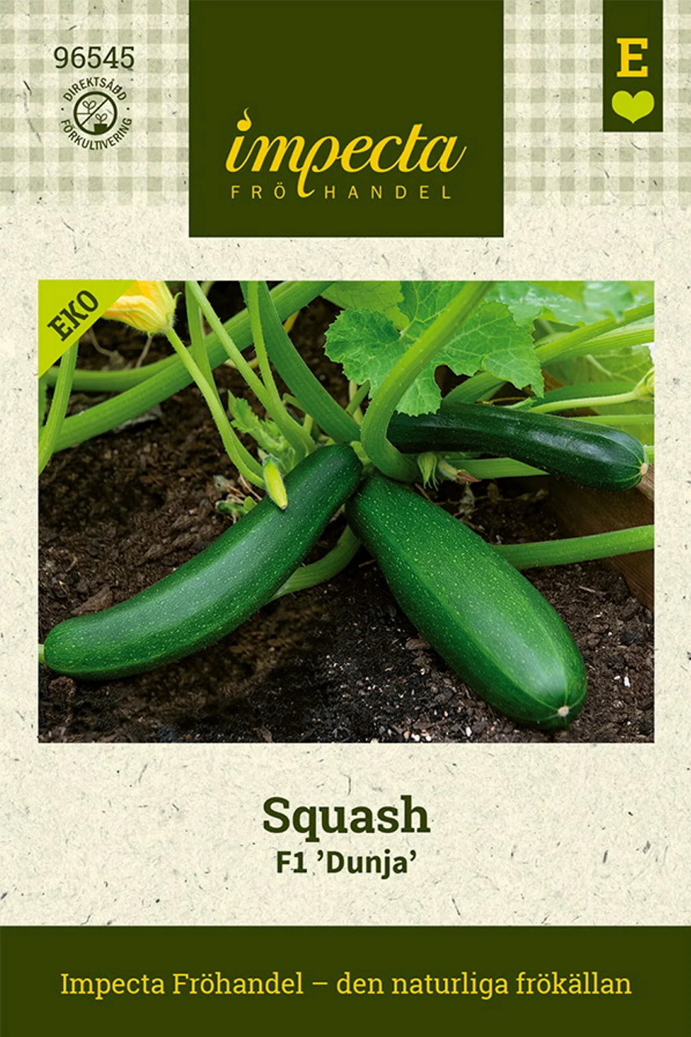 Cucurbita pepo F1 'Dunja'