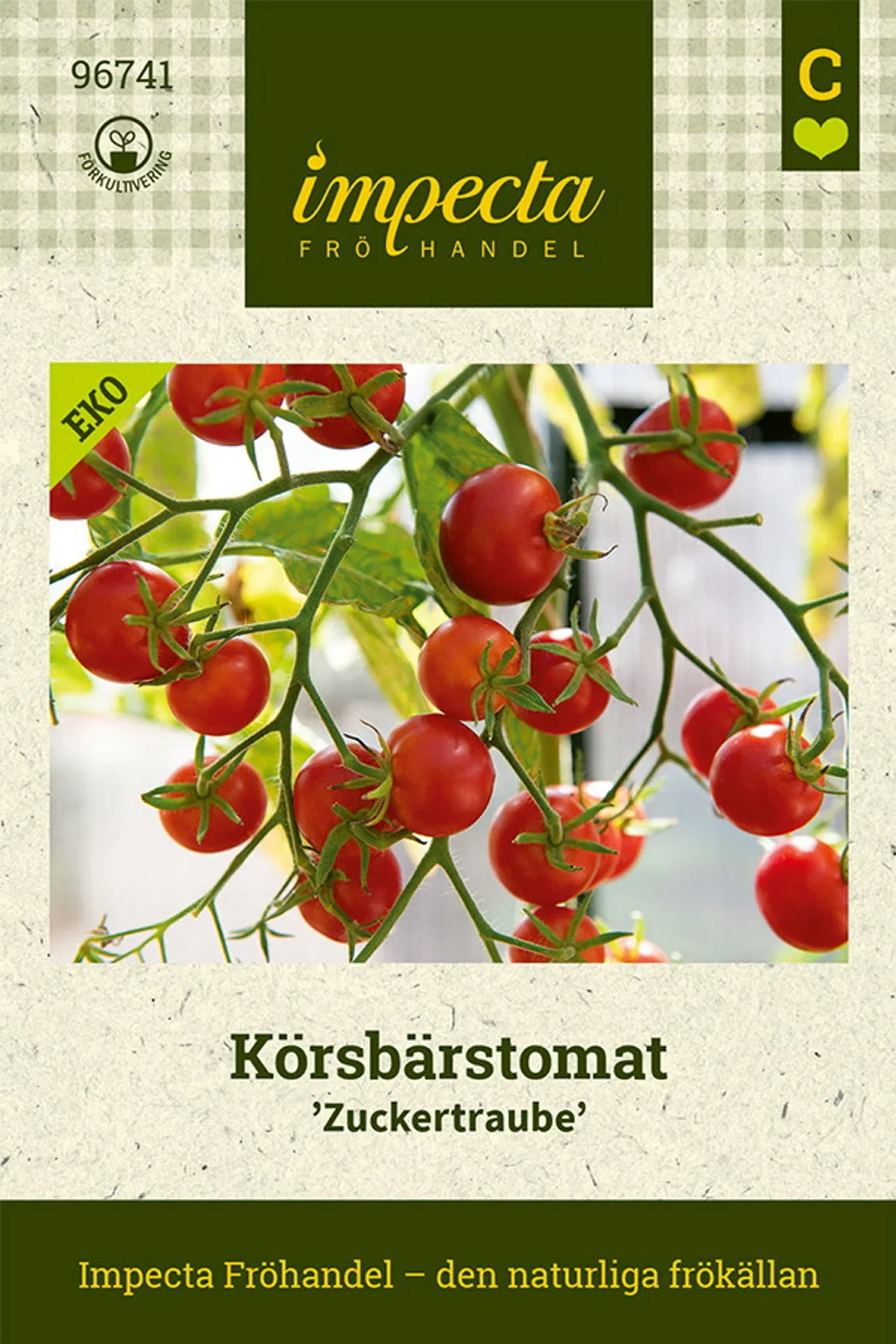 Solanum lycopersicum 'Zuckertraube'